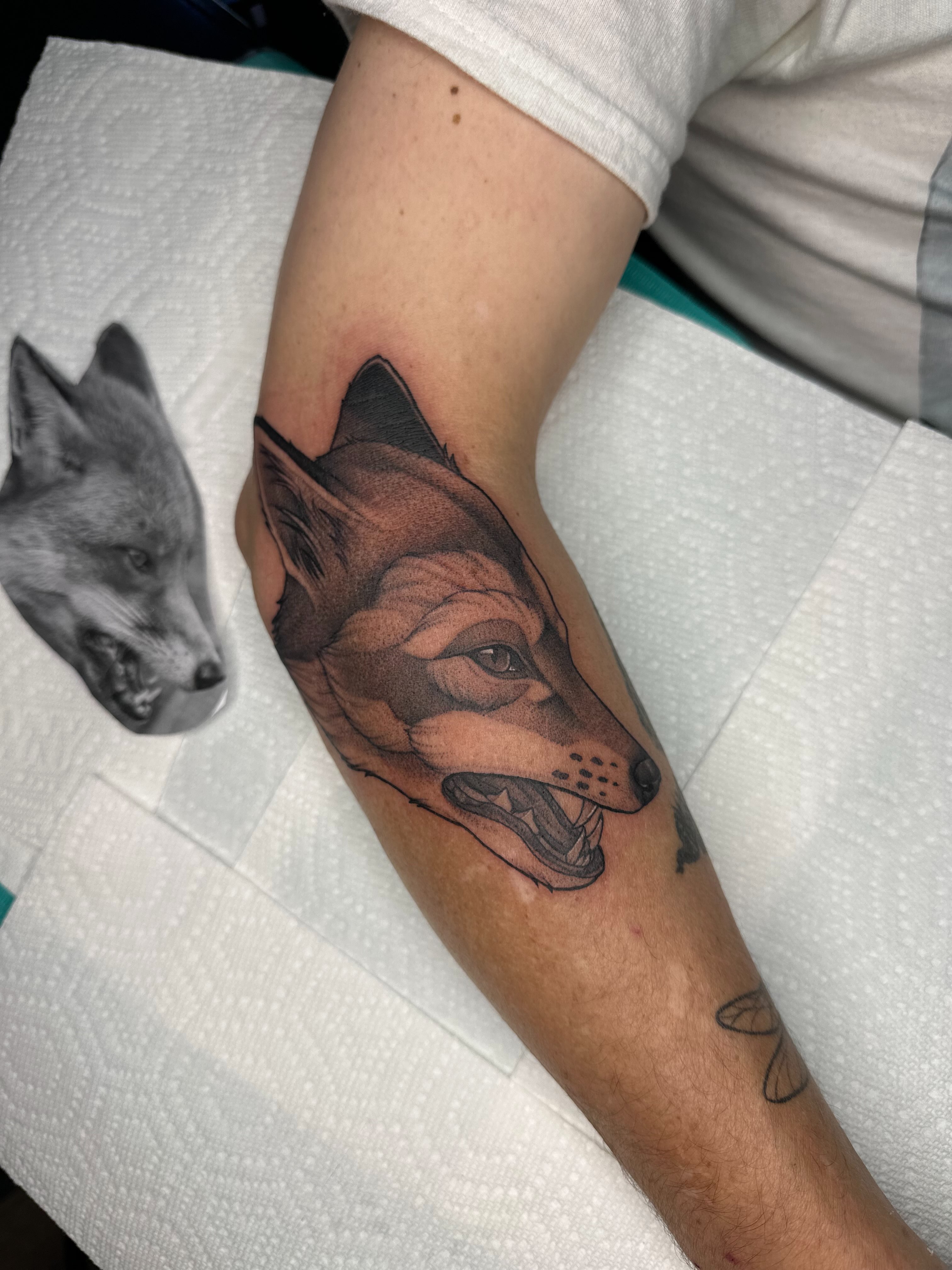 Wolf realism tattoo on the forearm by Madison Orchard Tattoos