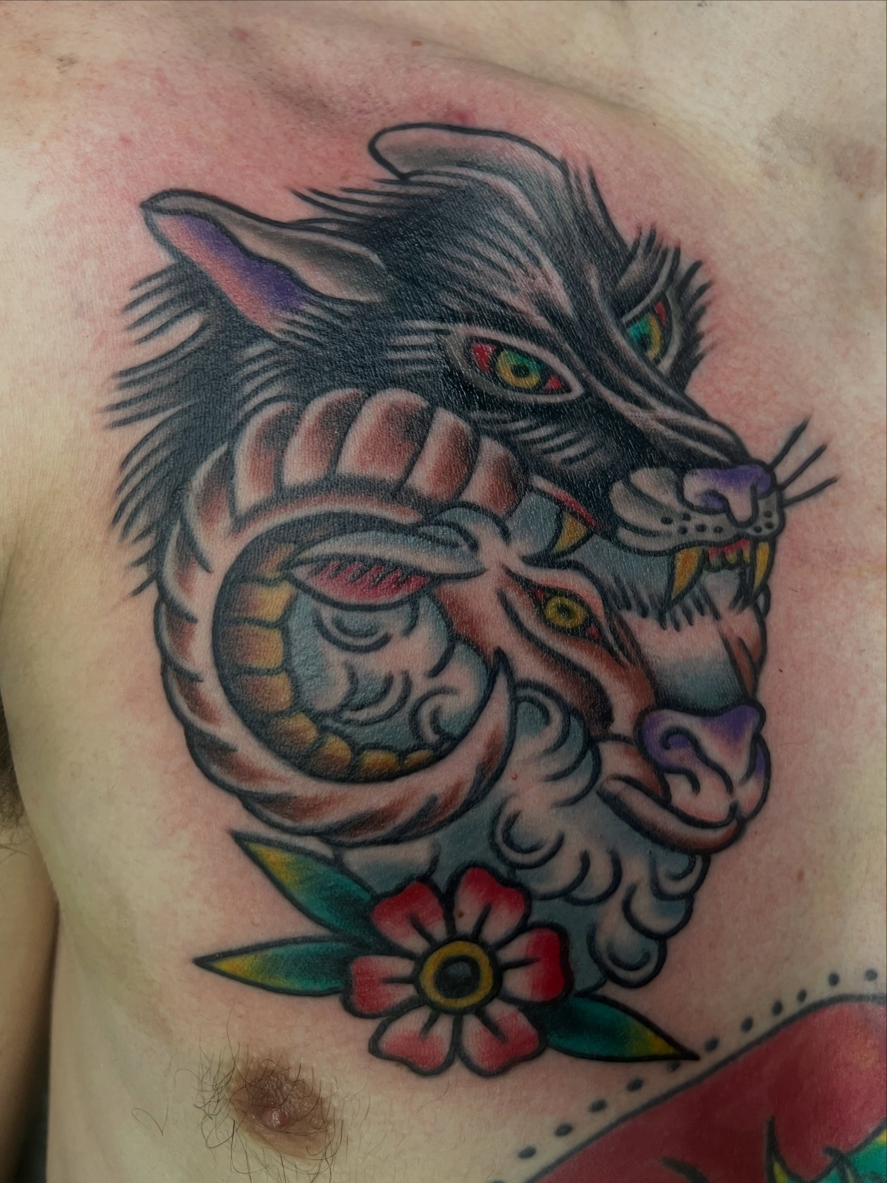 Wolf and ram American traditional tattoo on the chest by Tattoos and art by Ghost Shipe
