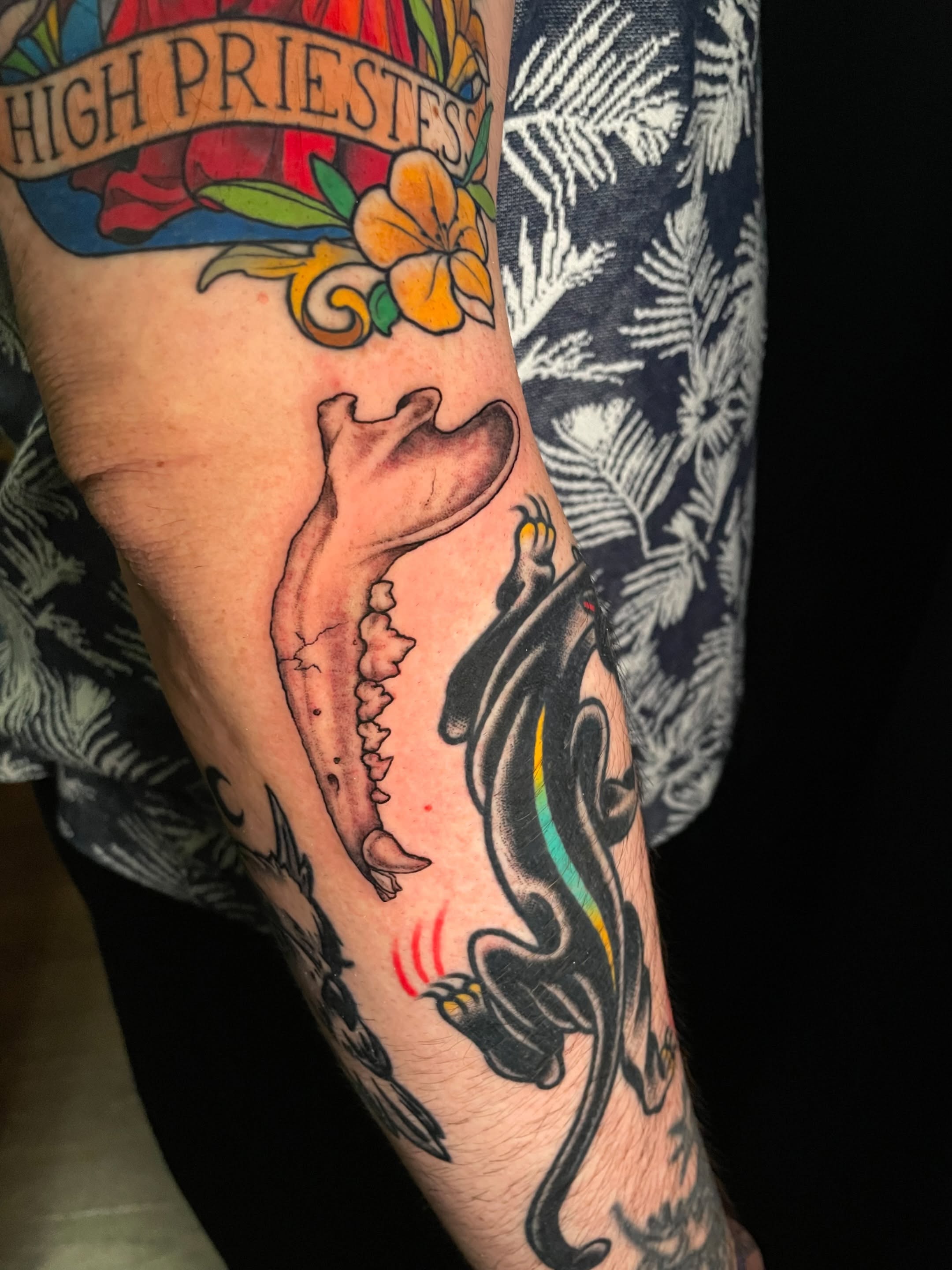 Snake and teeth American traditional tattoo on the forearm by Hildur Blom, Seattle, Washington