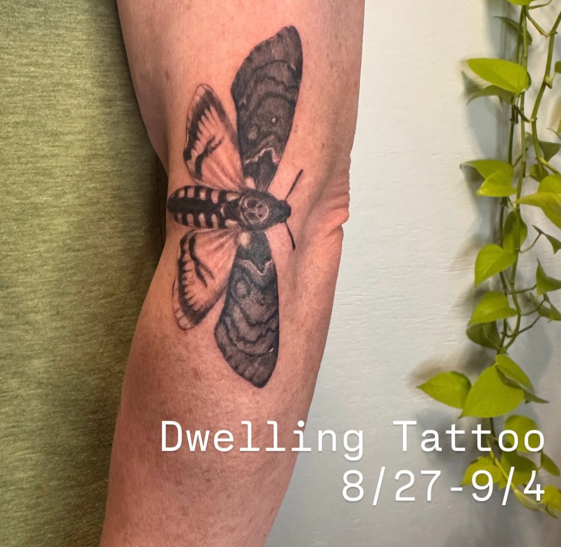 Moth realism tattoo on the forearm by Enda 🧚🏻‍♀️