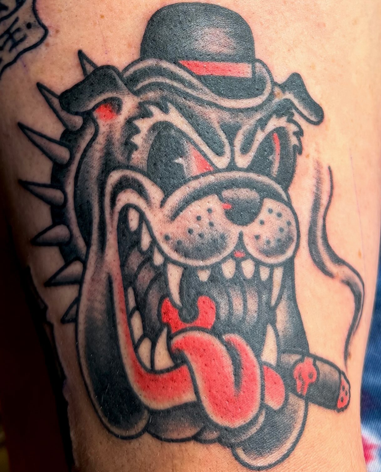 Bulldog American traditional tattoo on the forearm by David Devaney, Knoxville, Tennessee