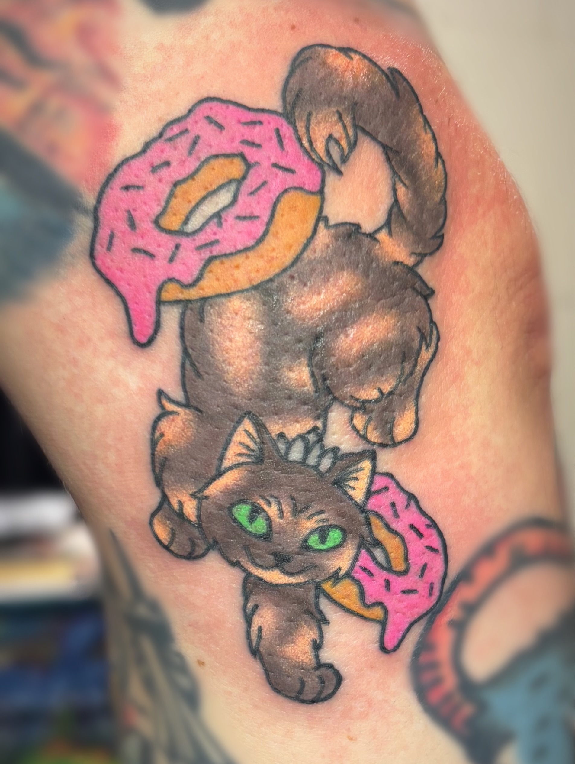 Cat and donut American traditional tattoo on the shoulder by Bree Burgess