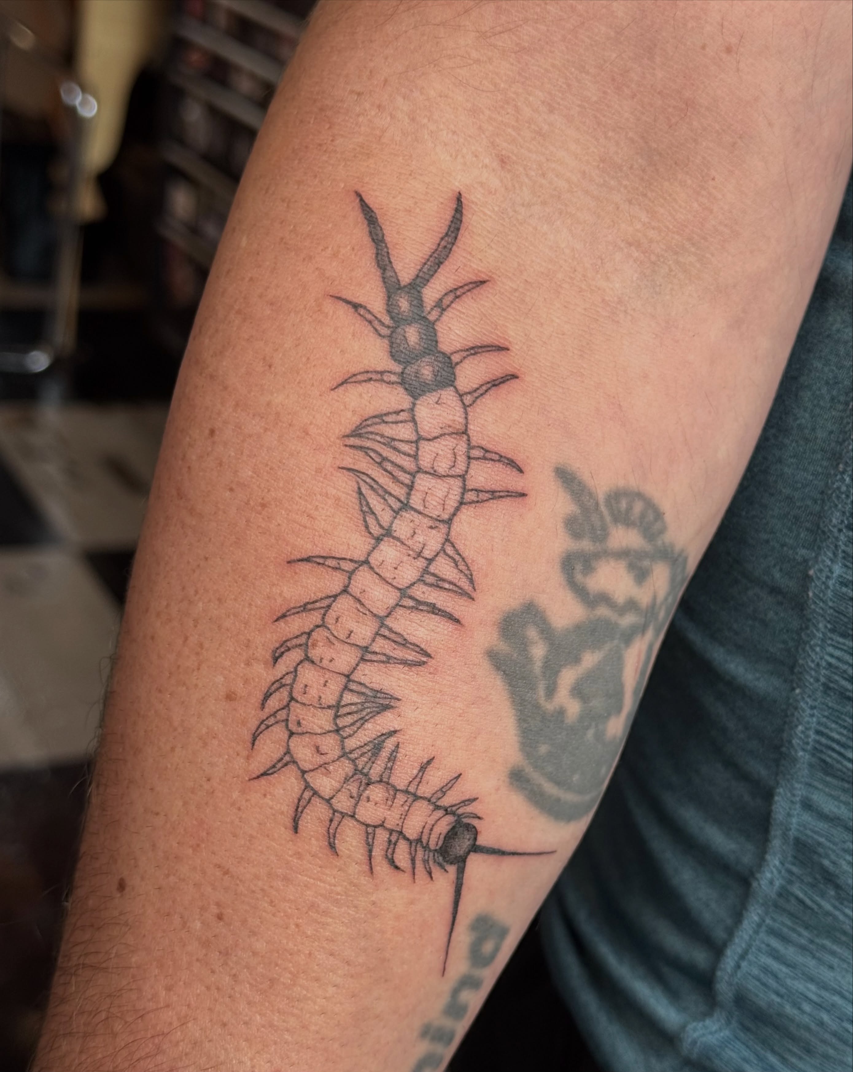 Tattoo by @haut_ces_ane — black_and_grey