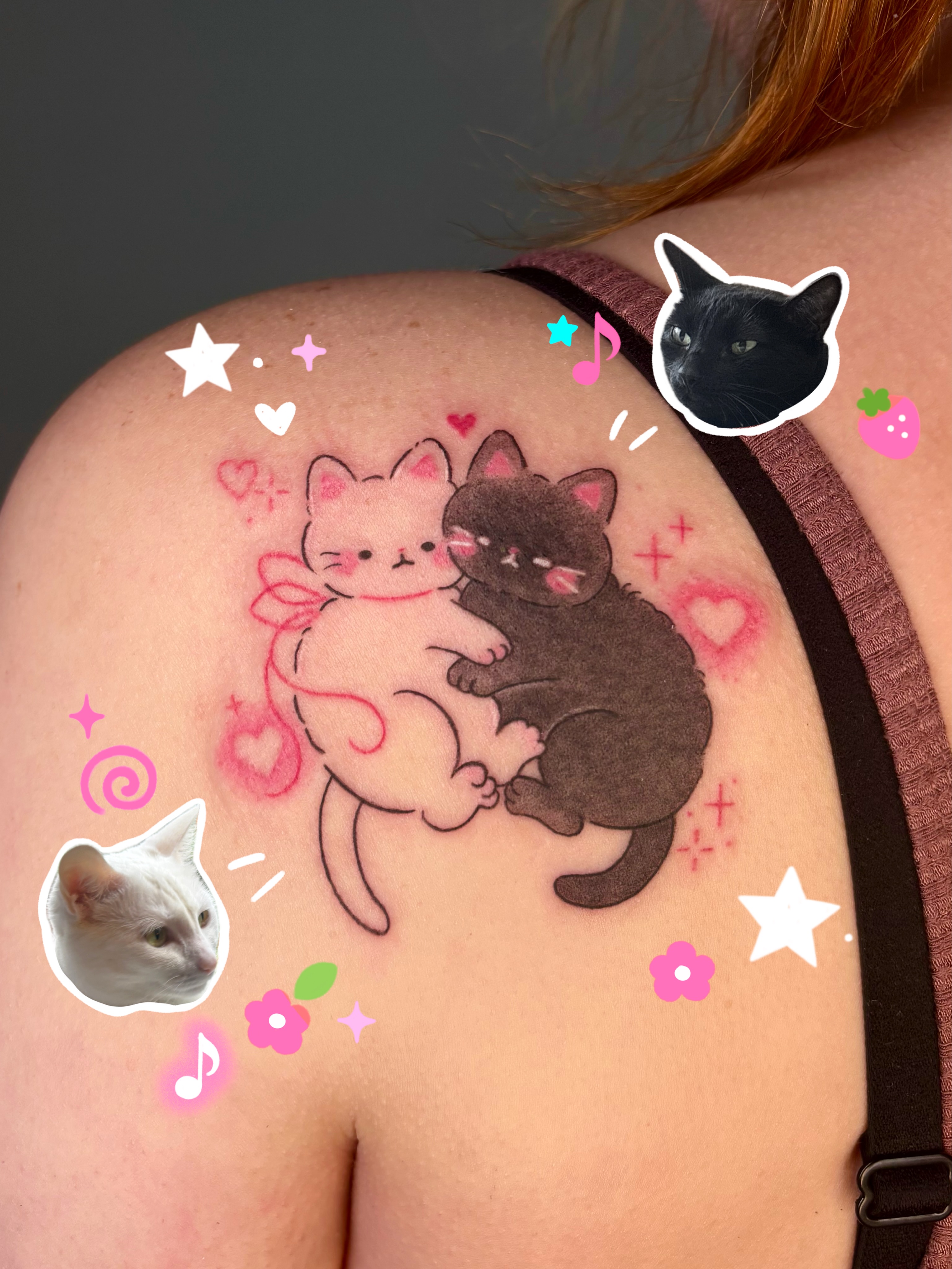 Two cats dotwork tattoo on the shoulder by ๐ฎ๐ถ๐ ๐ โงโห โโ.