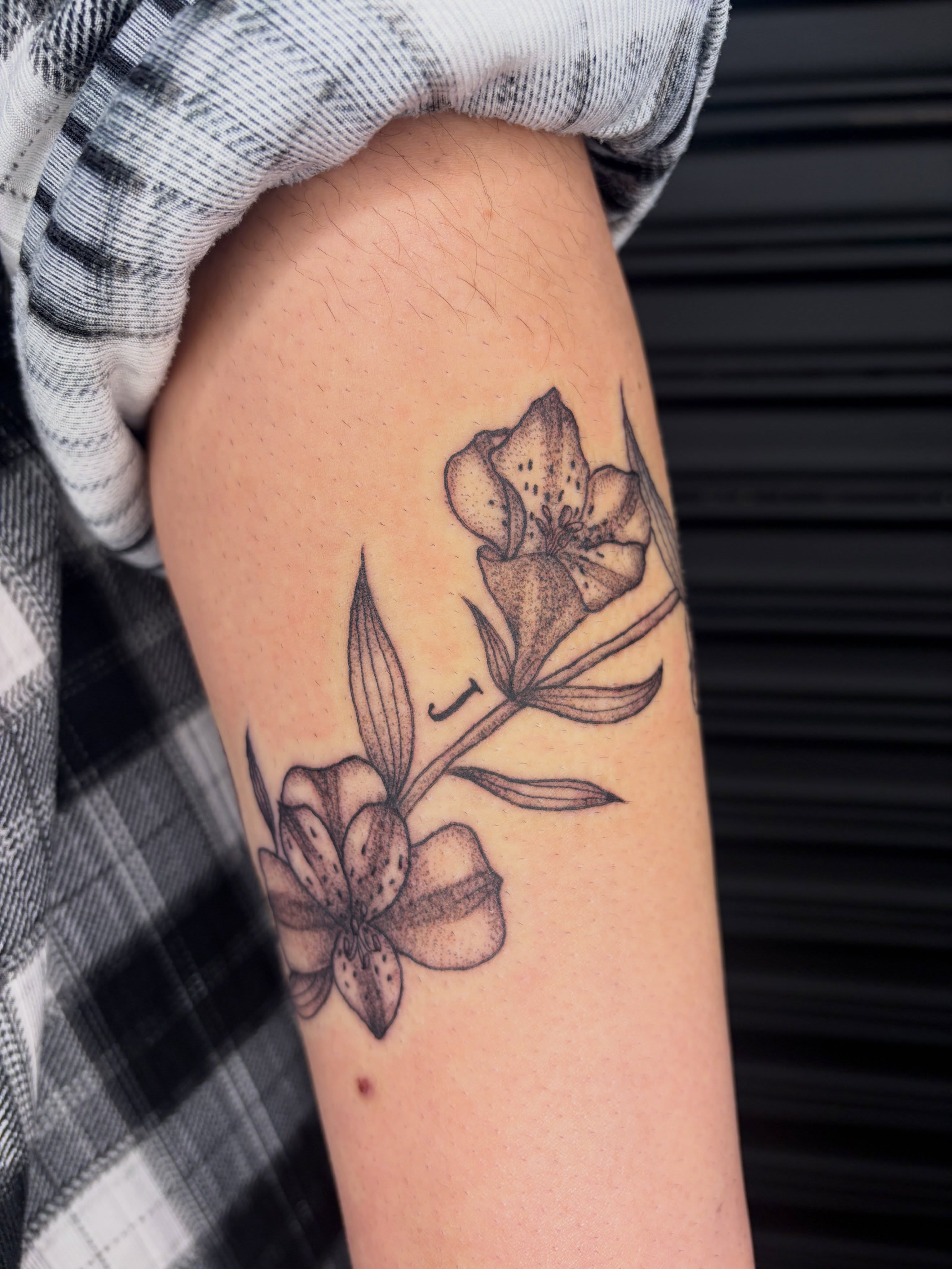Tattoo by @bobibeanz — dotwork