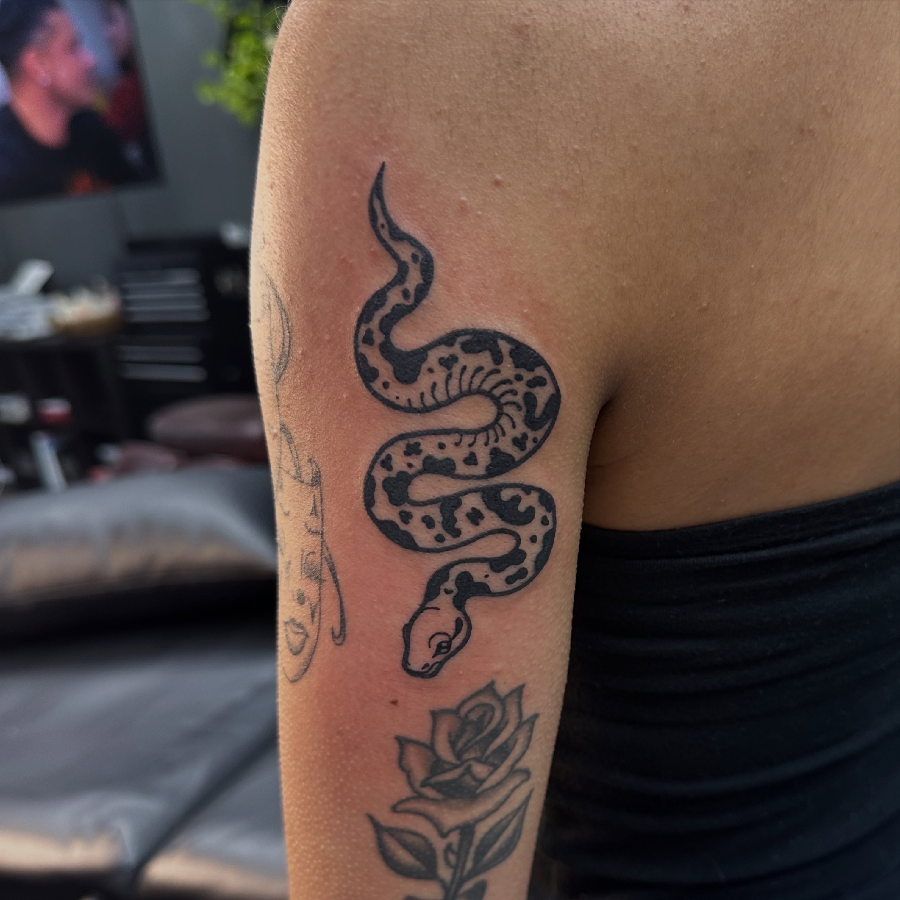 Snake black and grey tattoo on the upper arm by Ash Nicole Painterly, San Diego, California