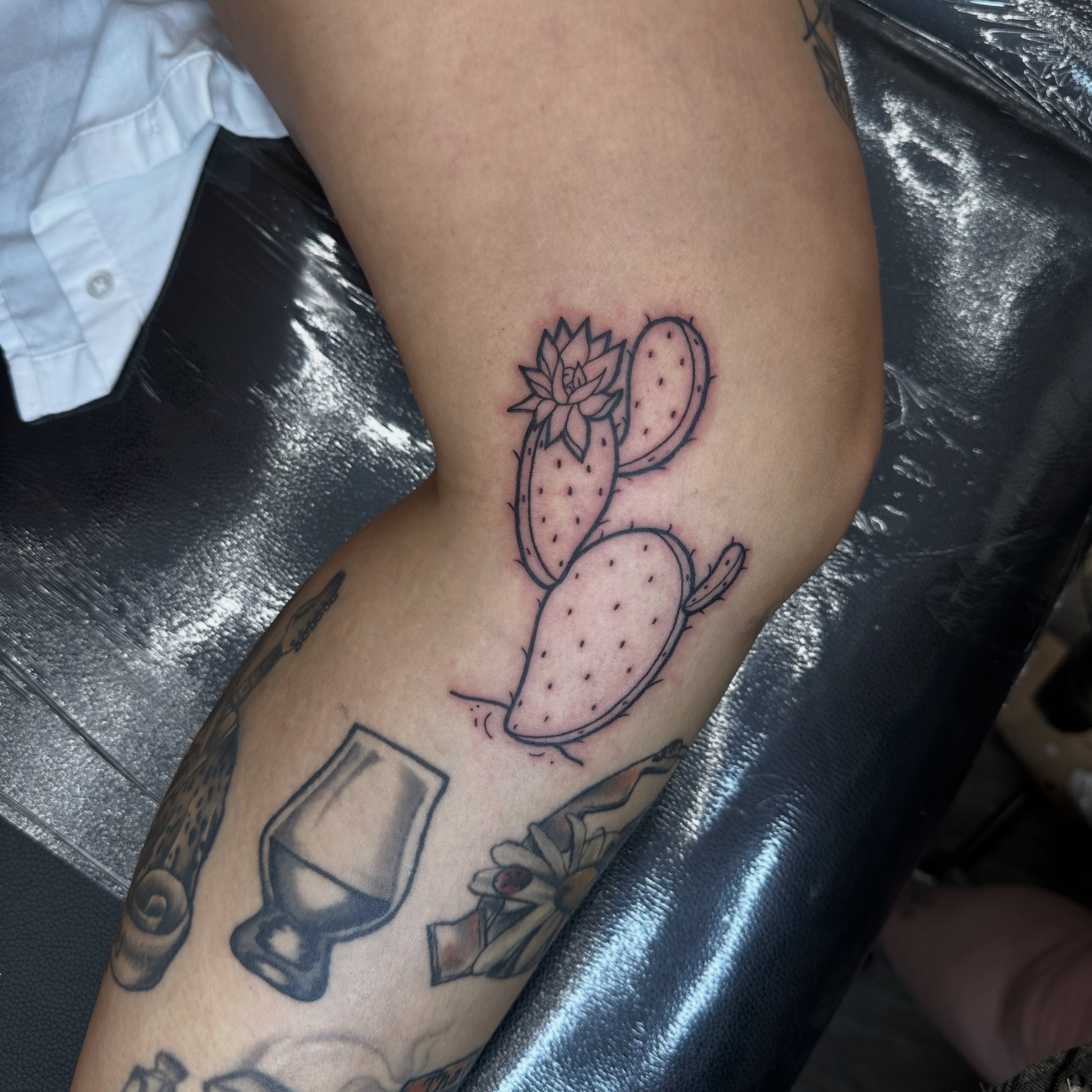 Cactus American traditional tattoo on the forearm by Ash Nicole Painterly, San Diego, California
