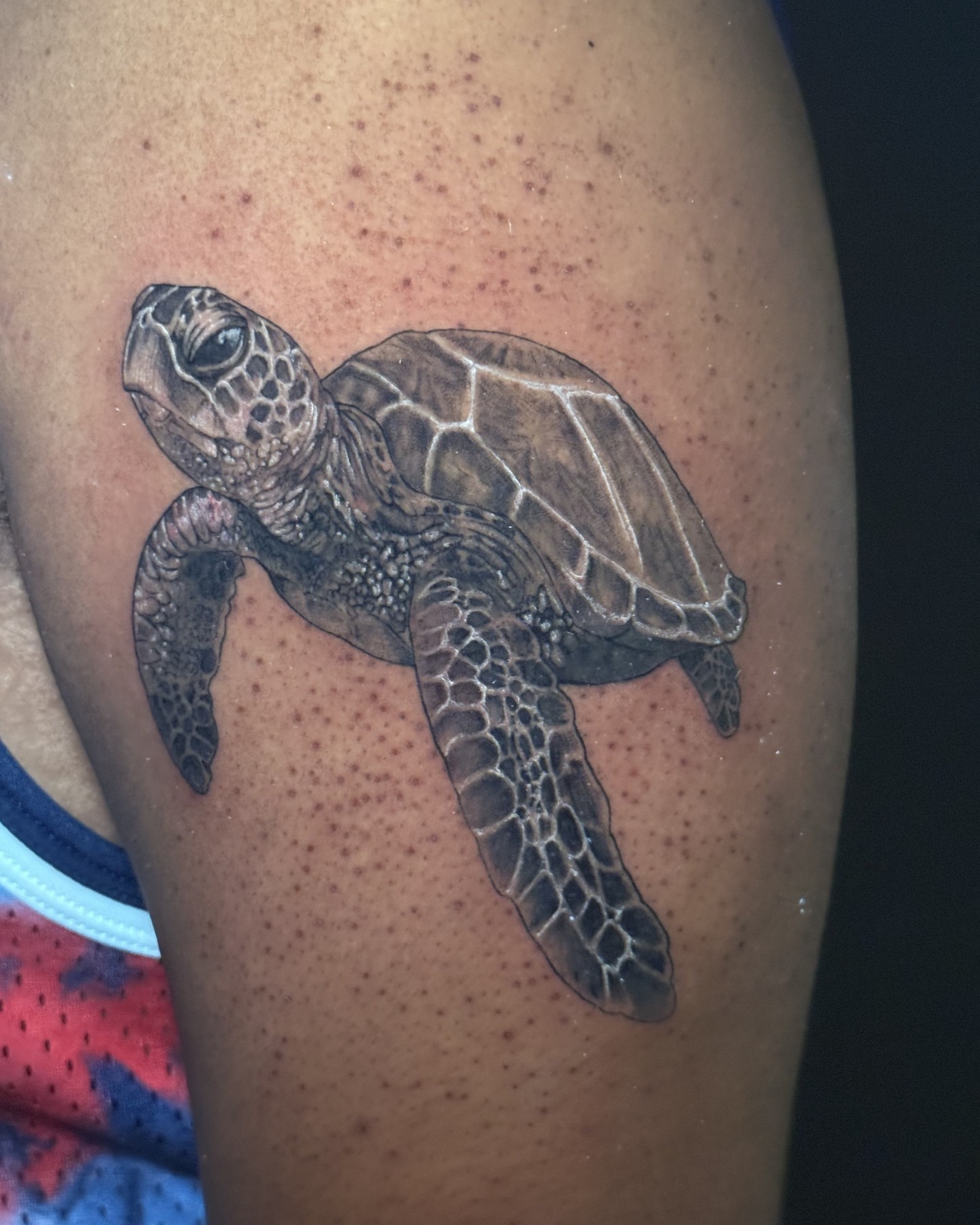 Tattoo by @tattoos_by_cat — realism