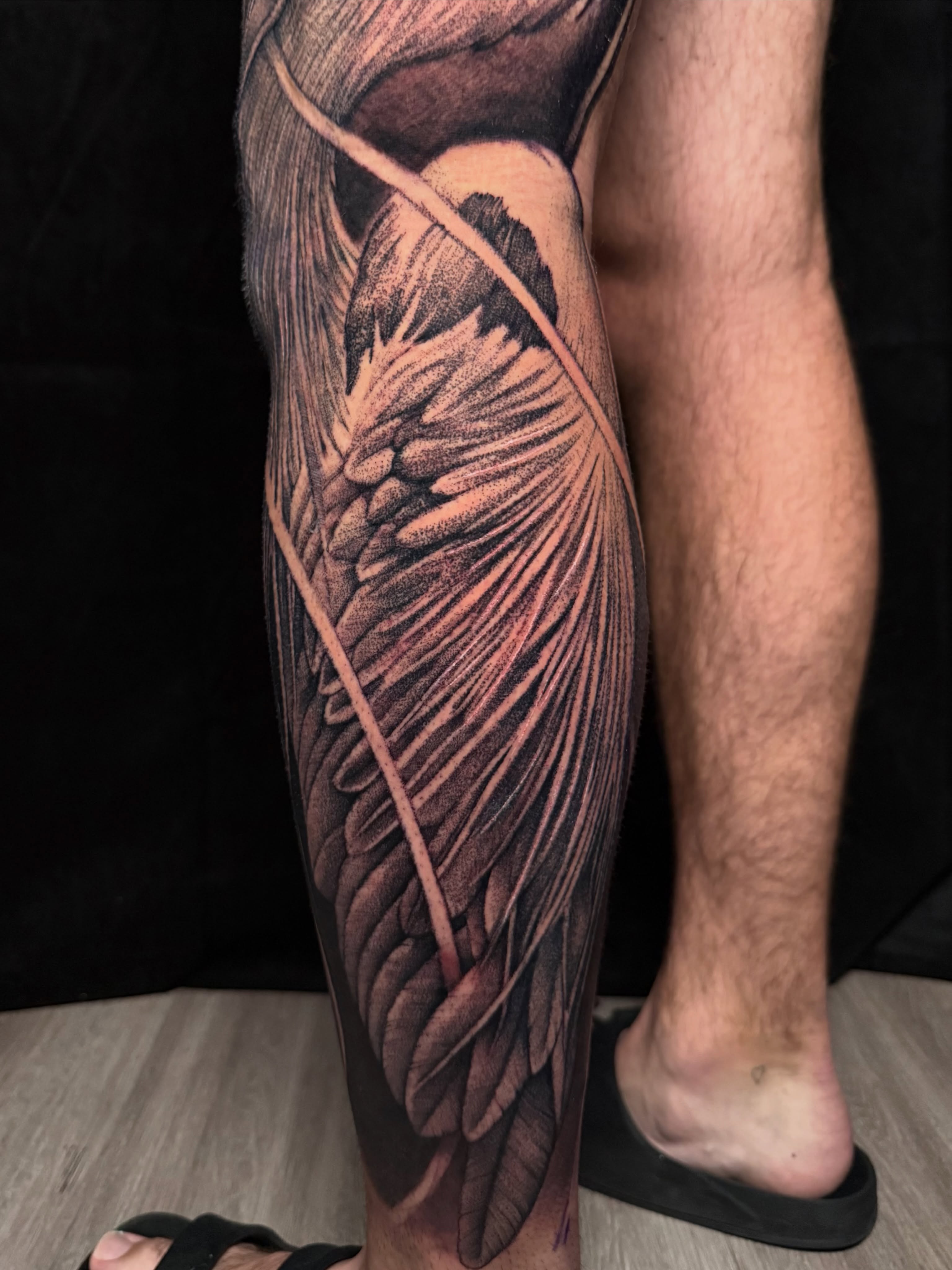Feather realism tattoo on the calf by Absolute