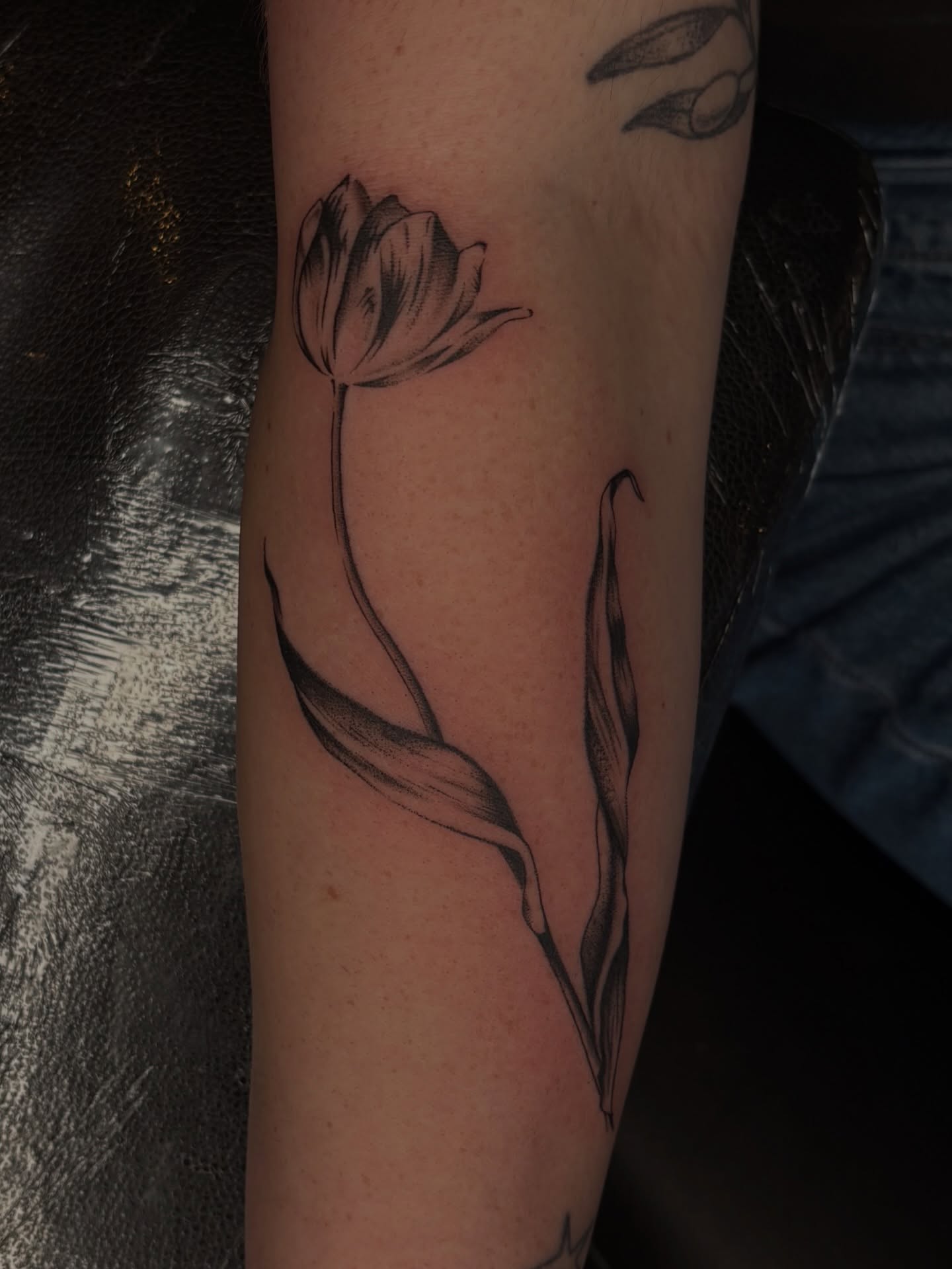 Tulip black and grey tattoo on the forearm by emery ♡ slc utah tattoo artist