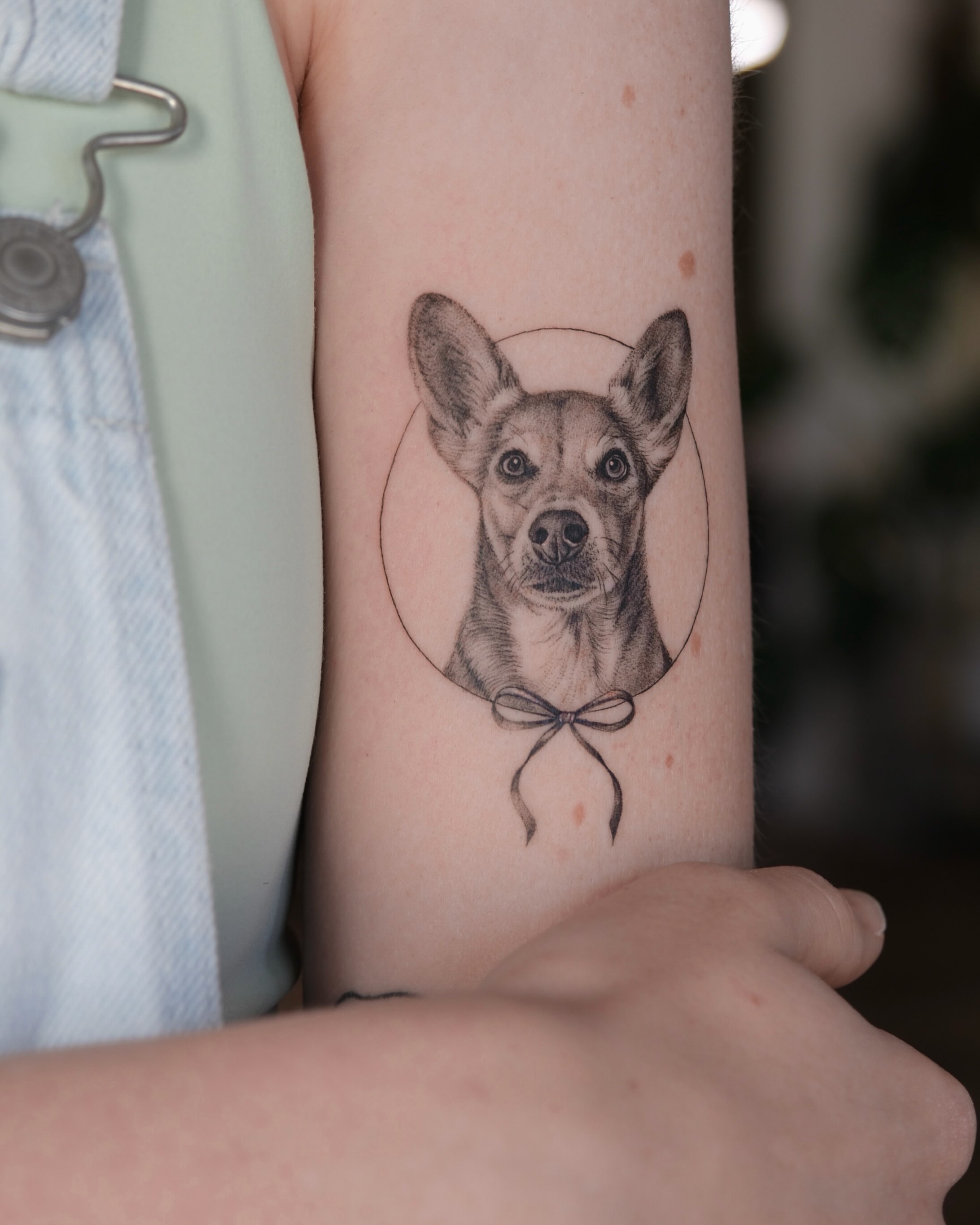 Dog realism tattoo on the forearm by Kate