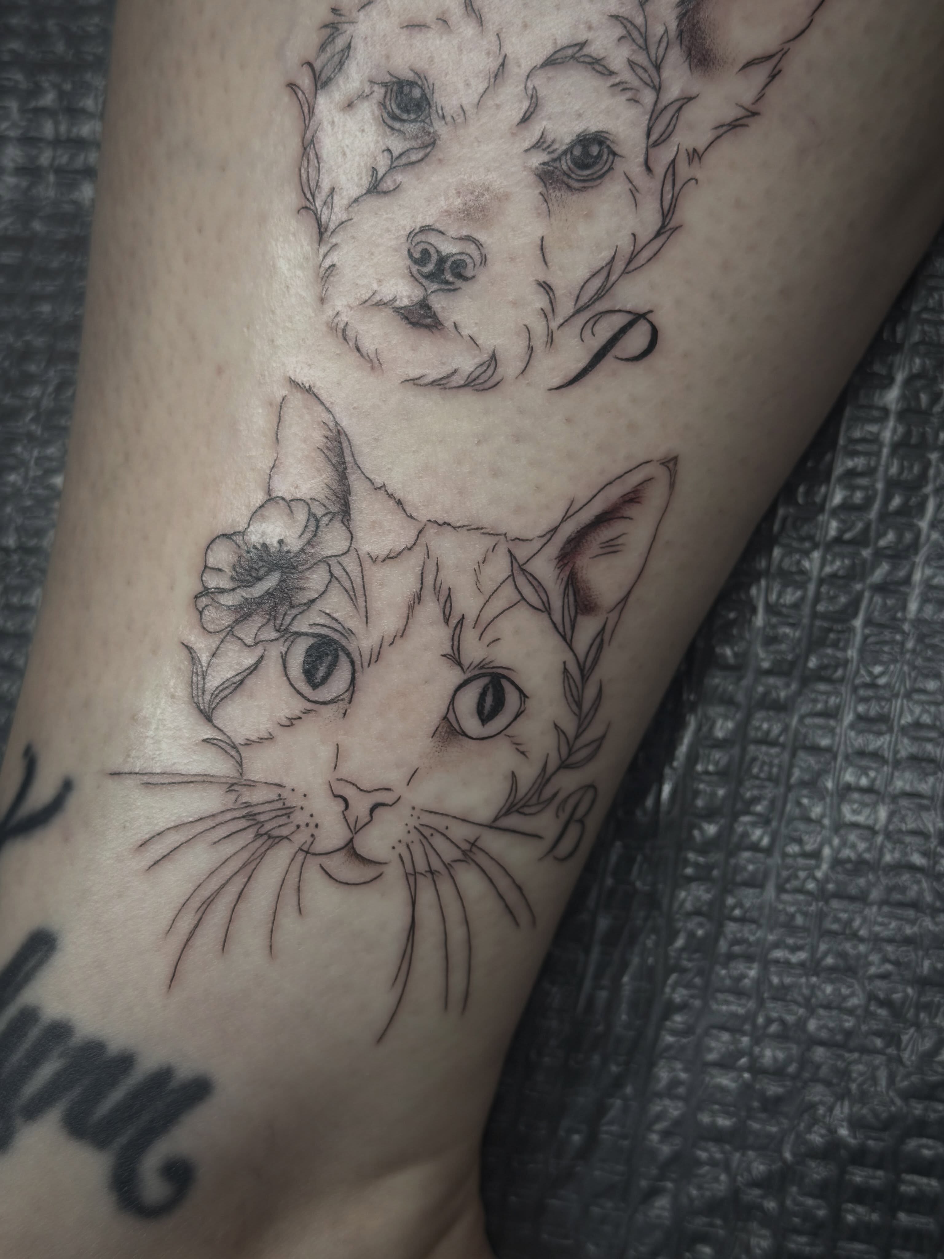 Cat and dog realism tattoo on the forearm by abbie michelle