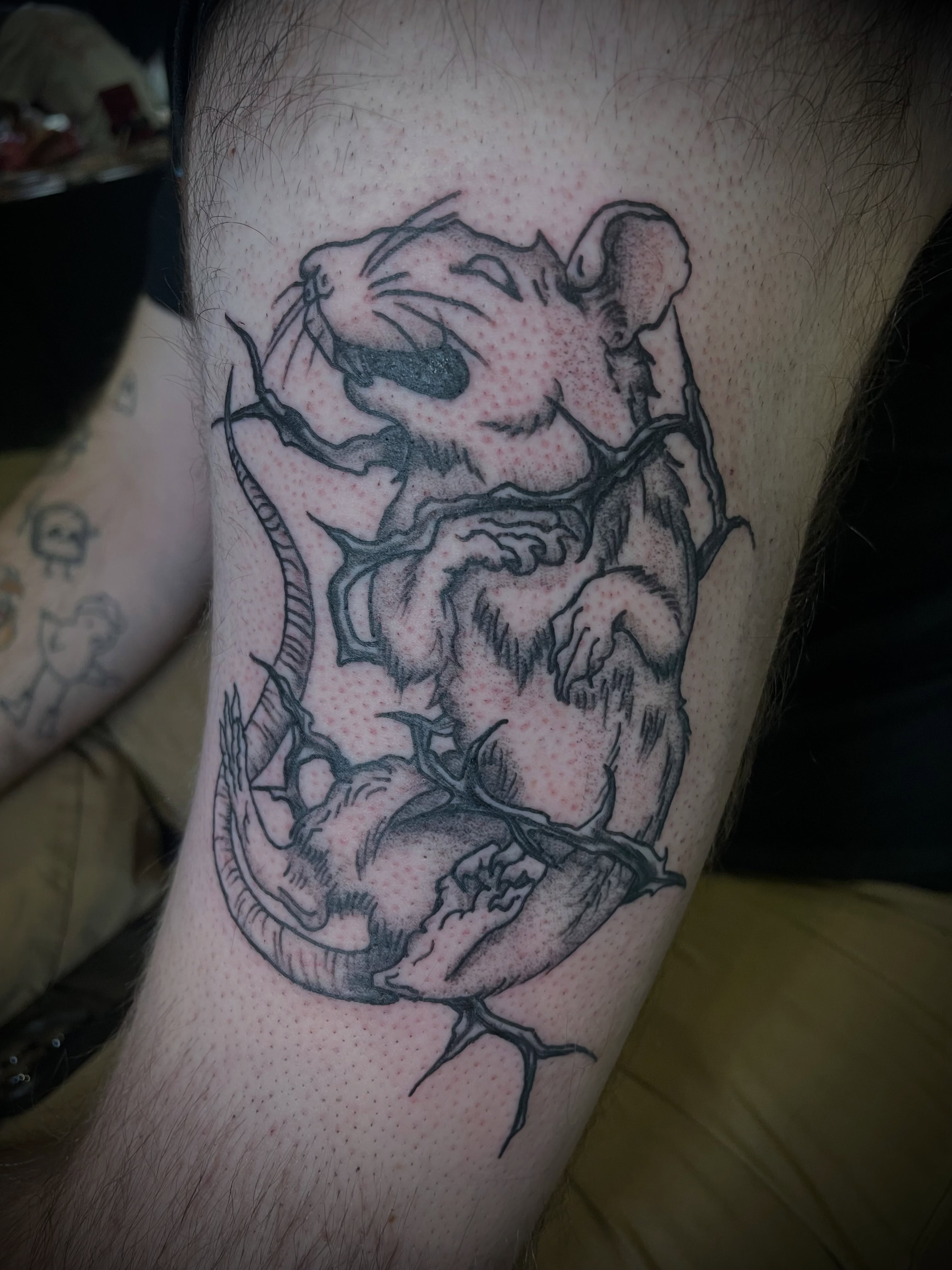 Rat and thorns black and grey tattoo on the forearm by Kaylee 🗡️