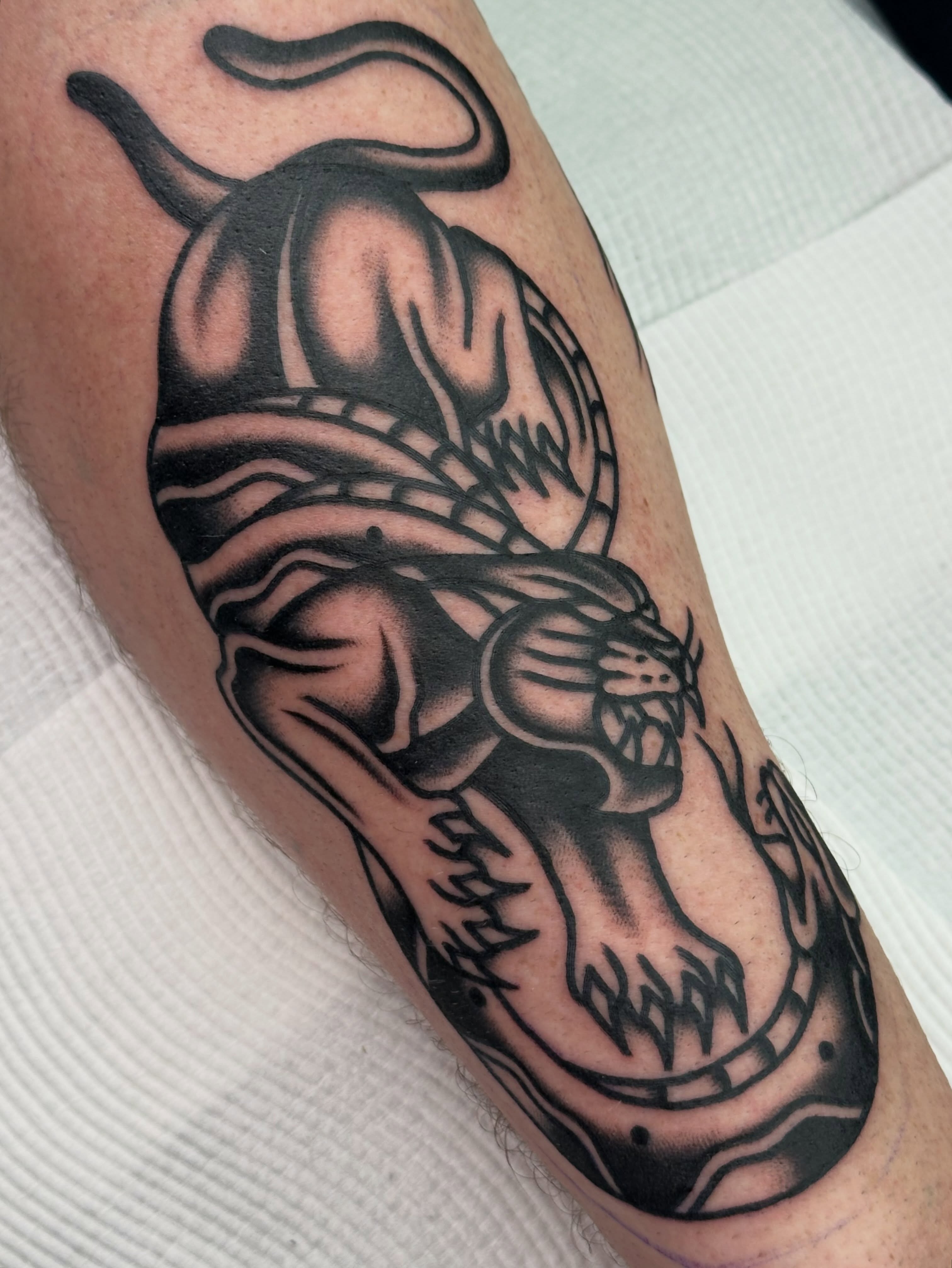 Panther black and grey tattoo on the forearm by 쿤타