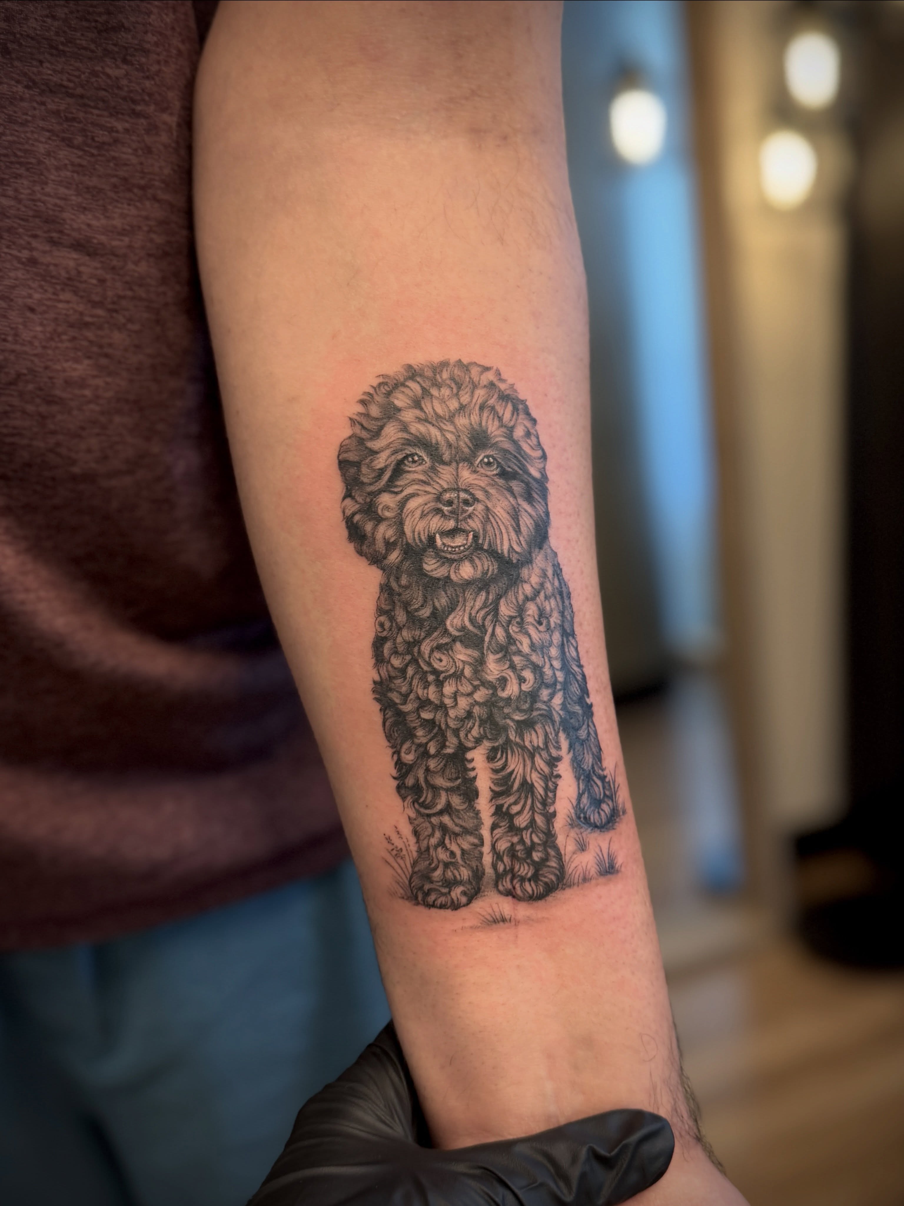 Poodle black and grey tattoo on the forearm by Aristova Anastasia
