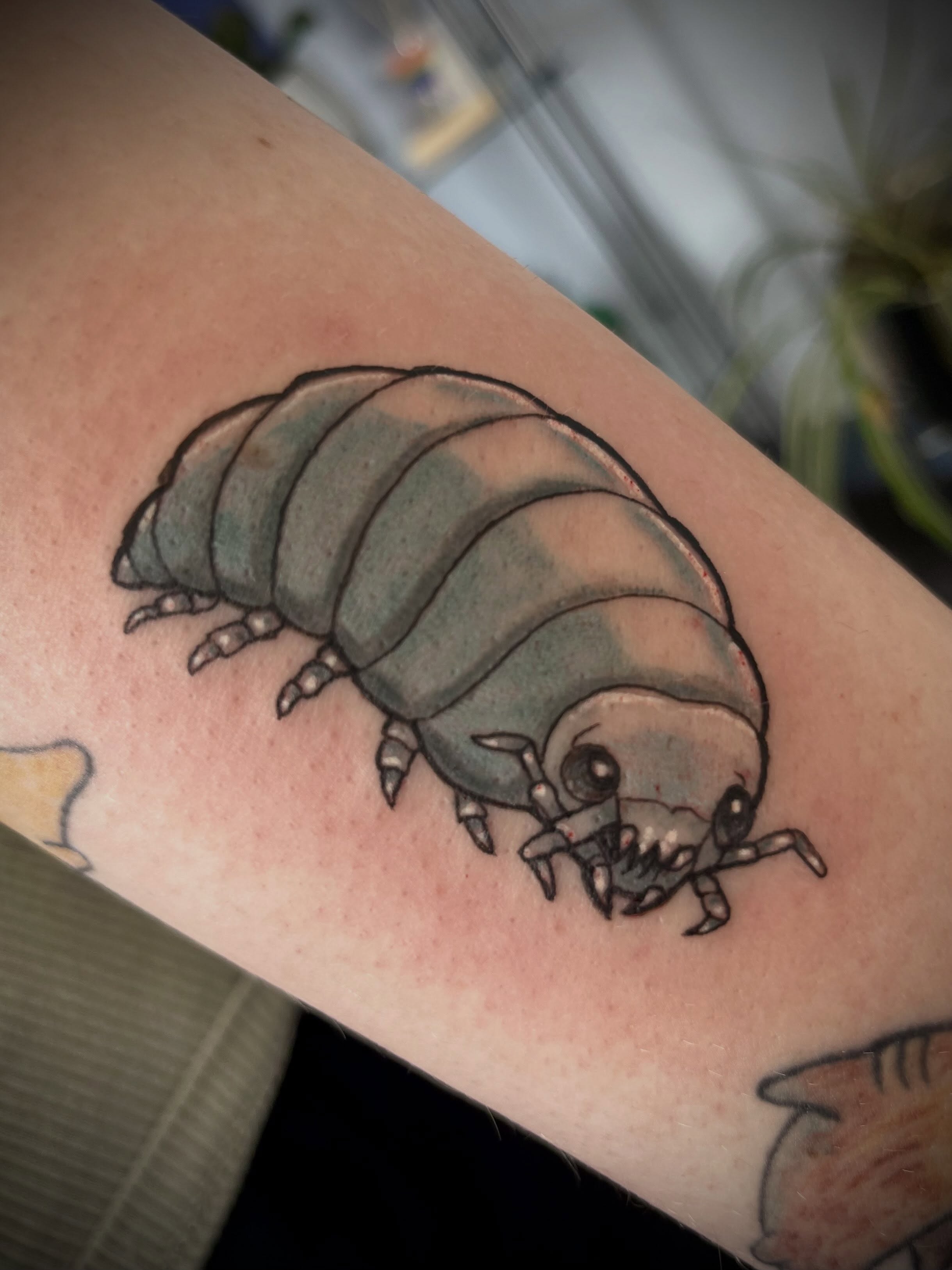 Woodlouse realism tattoo on the forearm by Freya Petersen