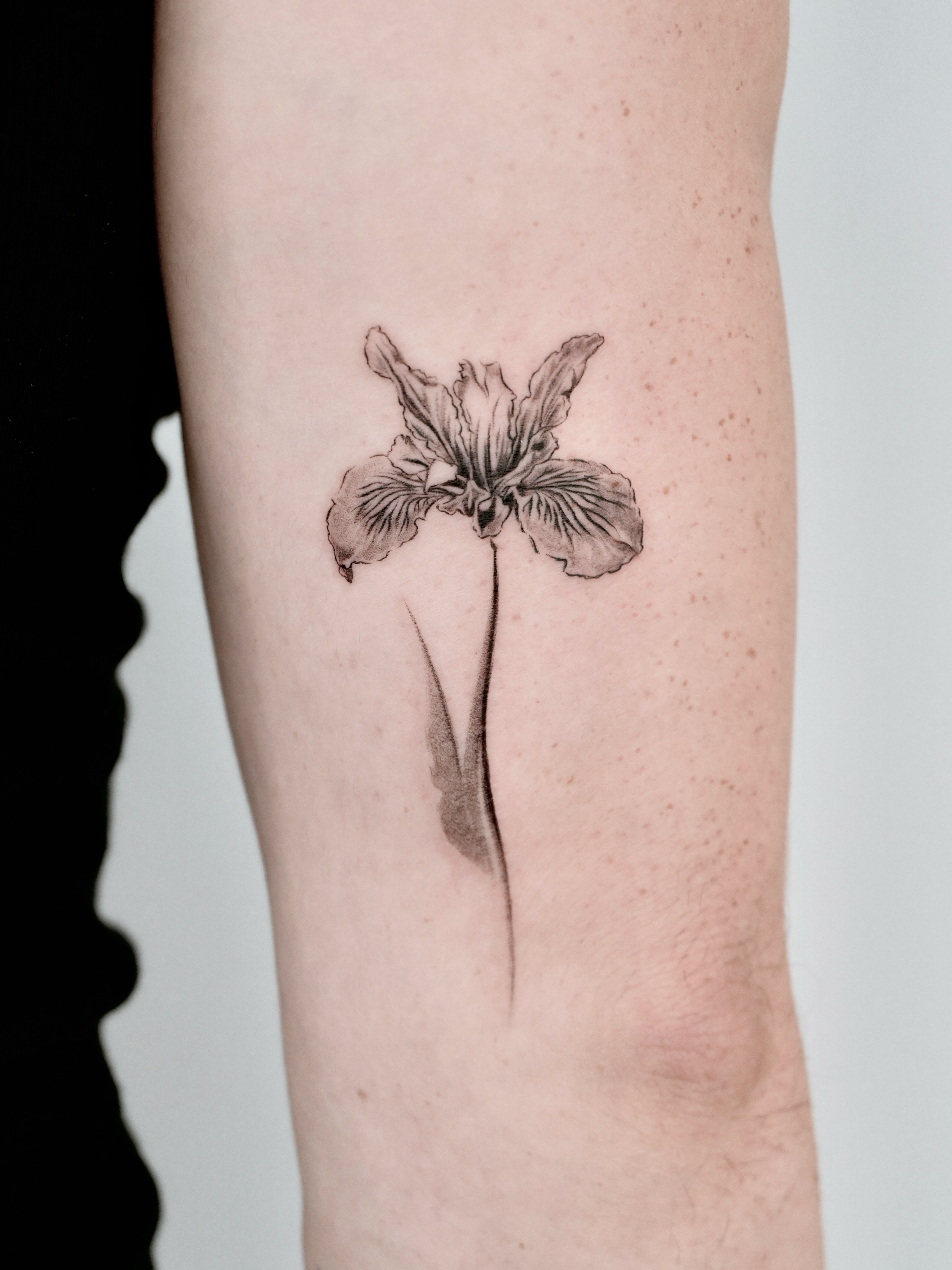 Tattoo by IAN • 이안, Washington, District of Columbia