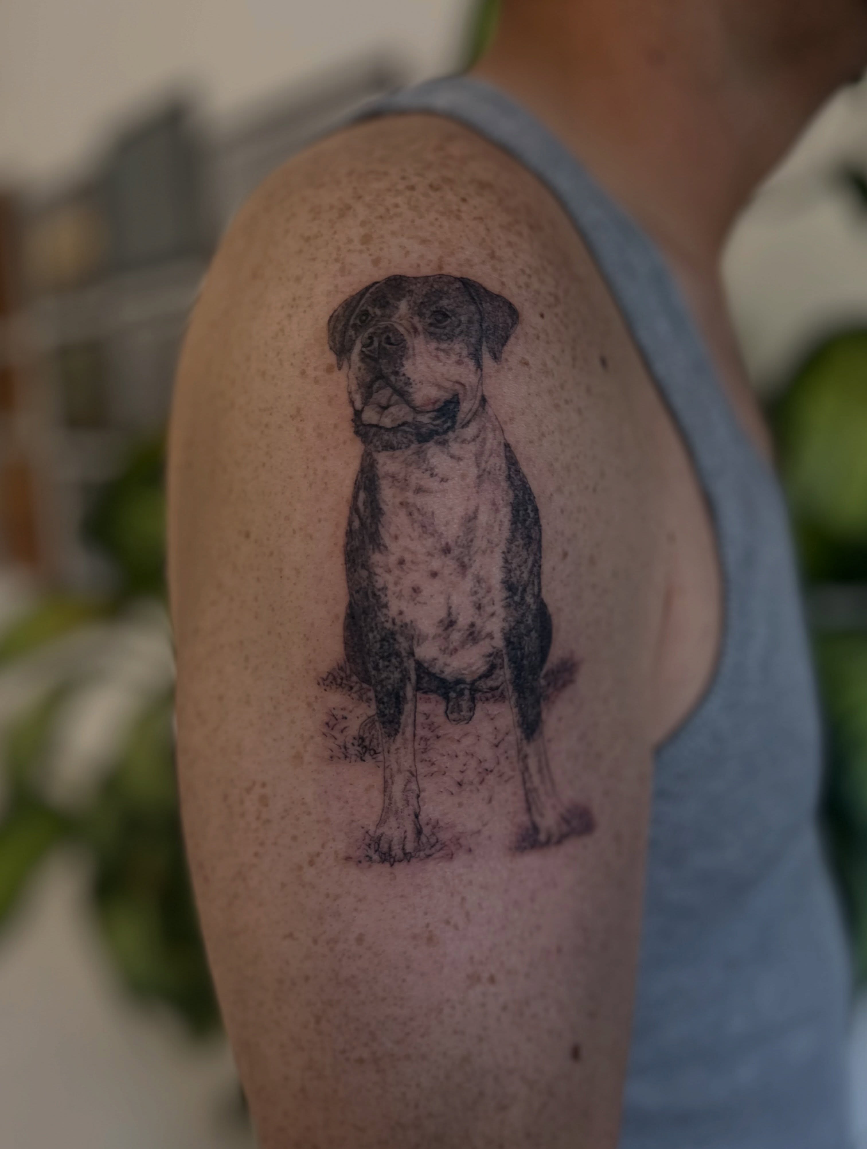 Dog realism tattoo on the shoulder by Ric Castellon Tattoo Artist, Los Angeles, California