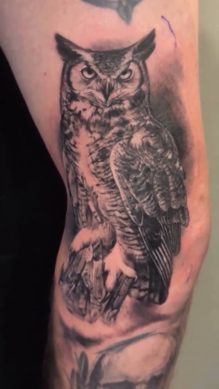 Owl realism tattoo by 💎 Neon