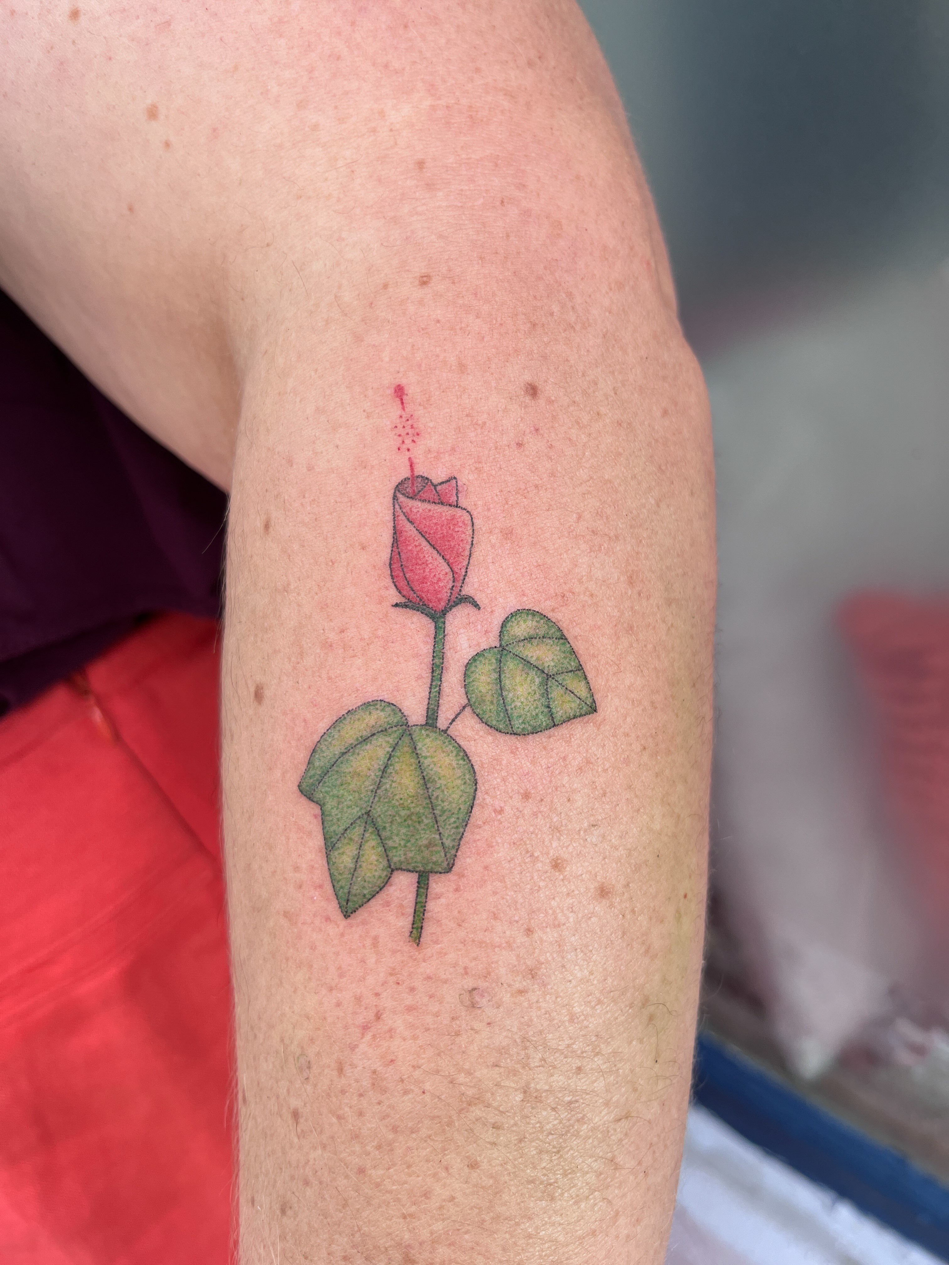 Rose bud dotwork tattoo on the forearm by natalie