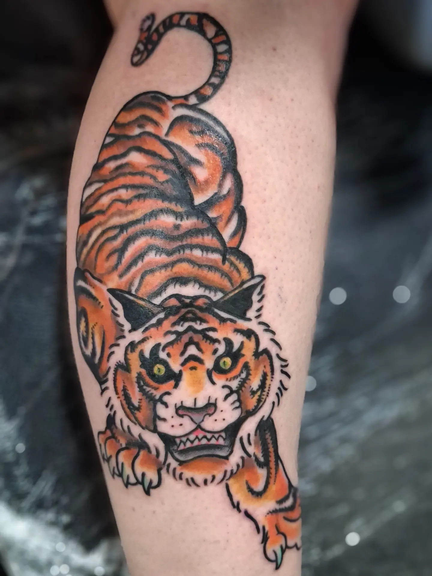 Tiger American traditional tattoo on the forearm by Jake Mincey