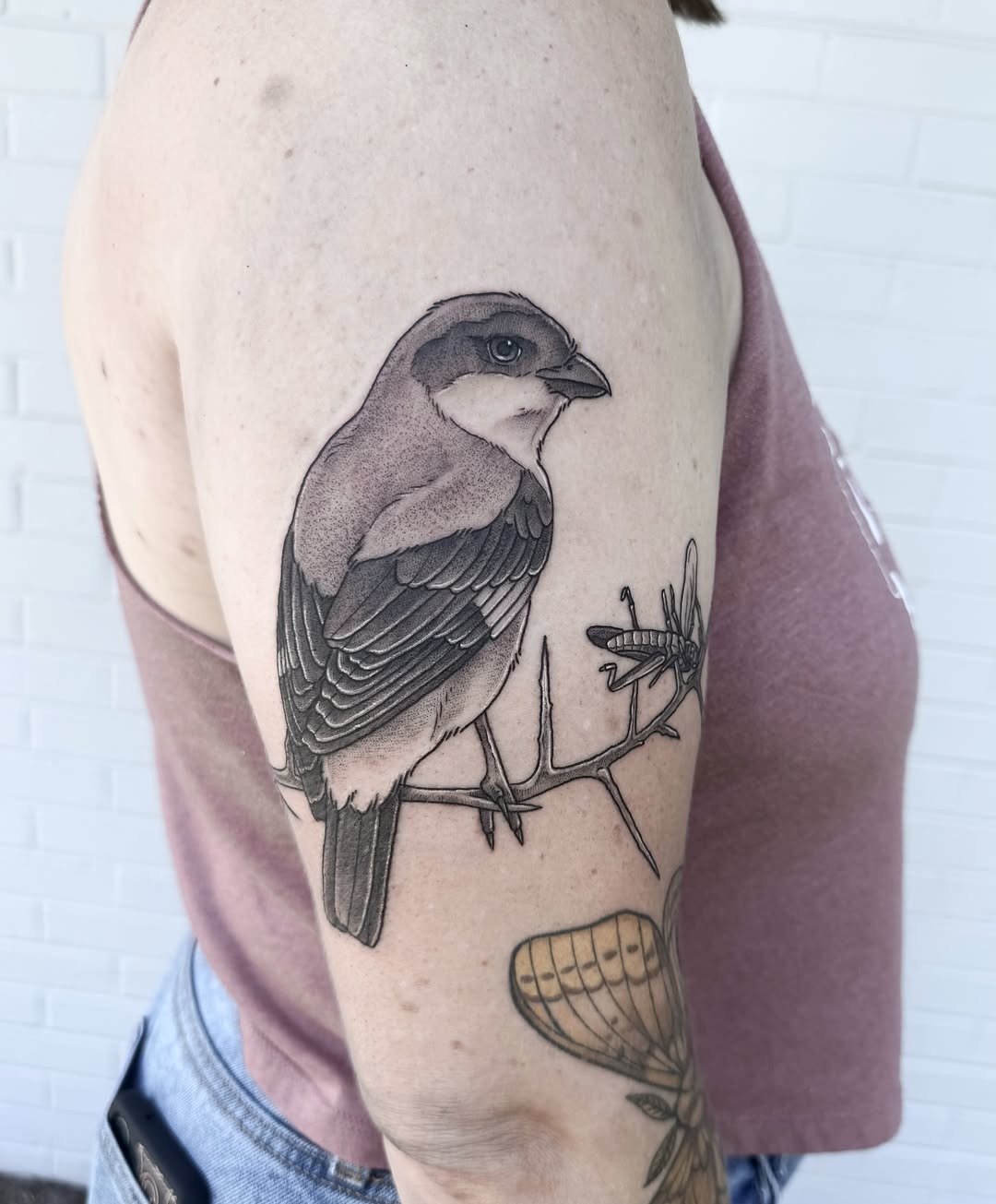 Bird realism tattoo on the forearm by Audrey Kacel, Holland, Michigan