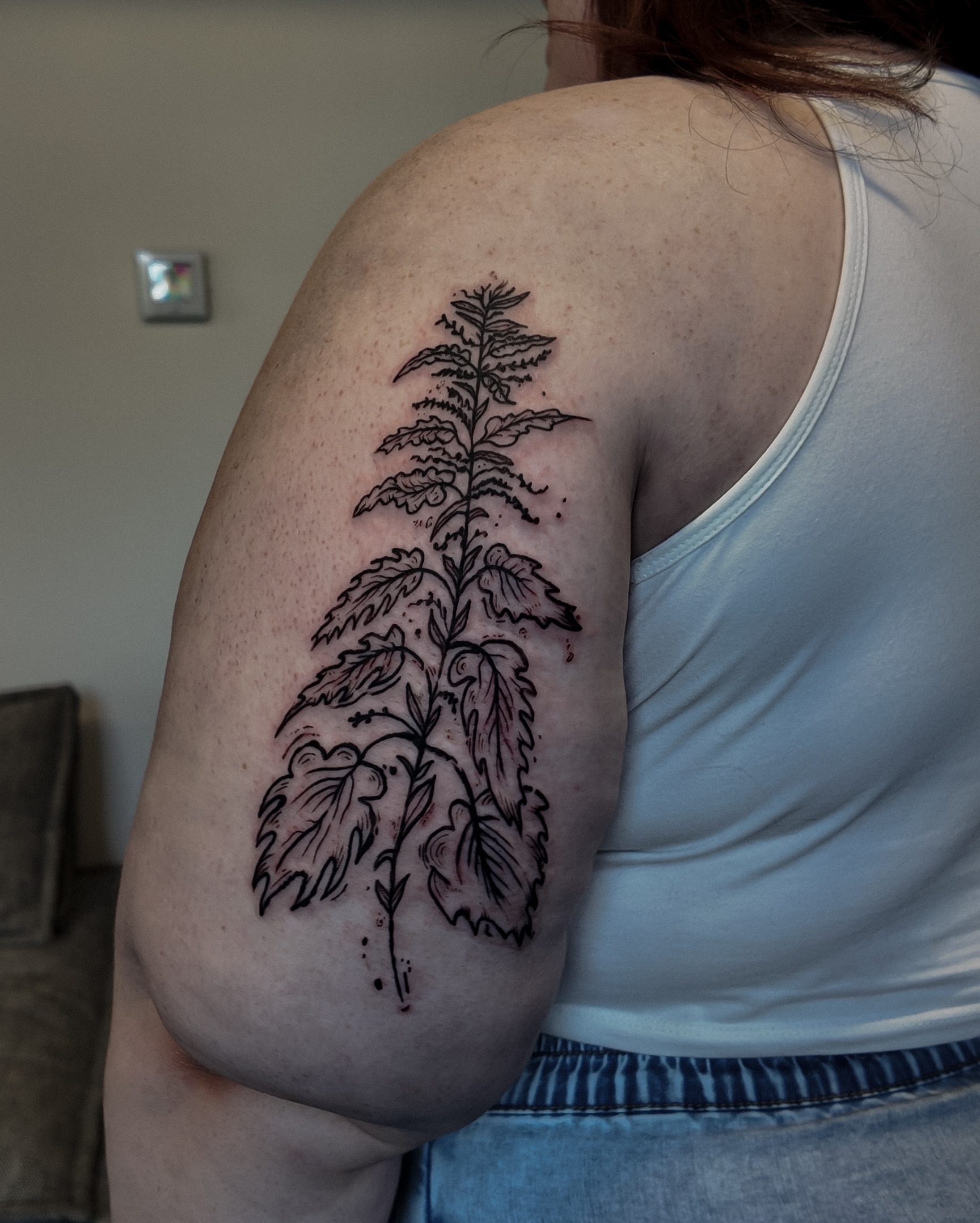 Fern black and grey tattoo on the shoulder by Morgan Diann