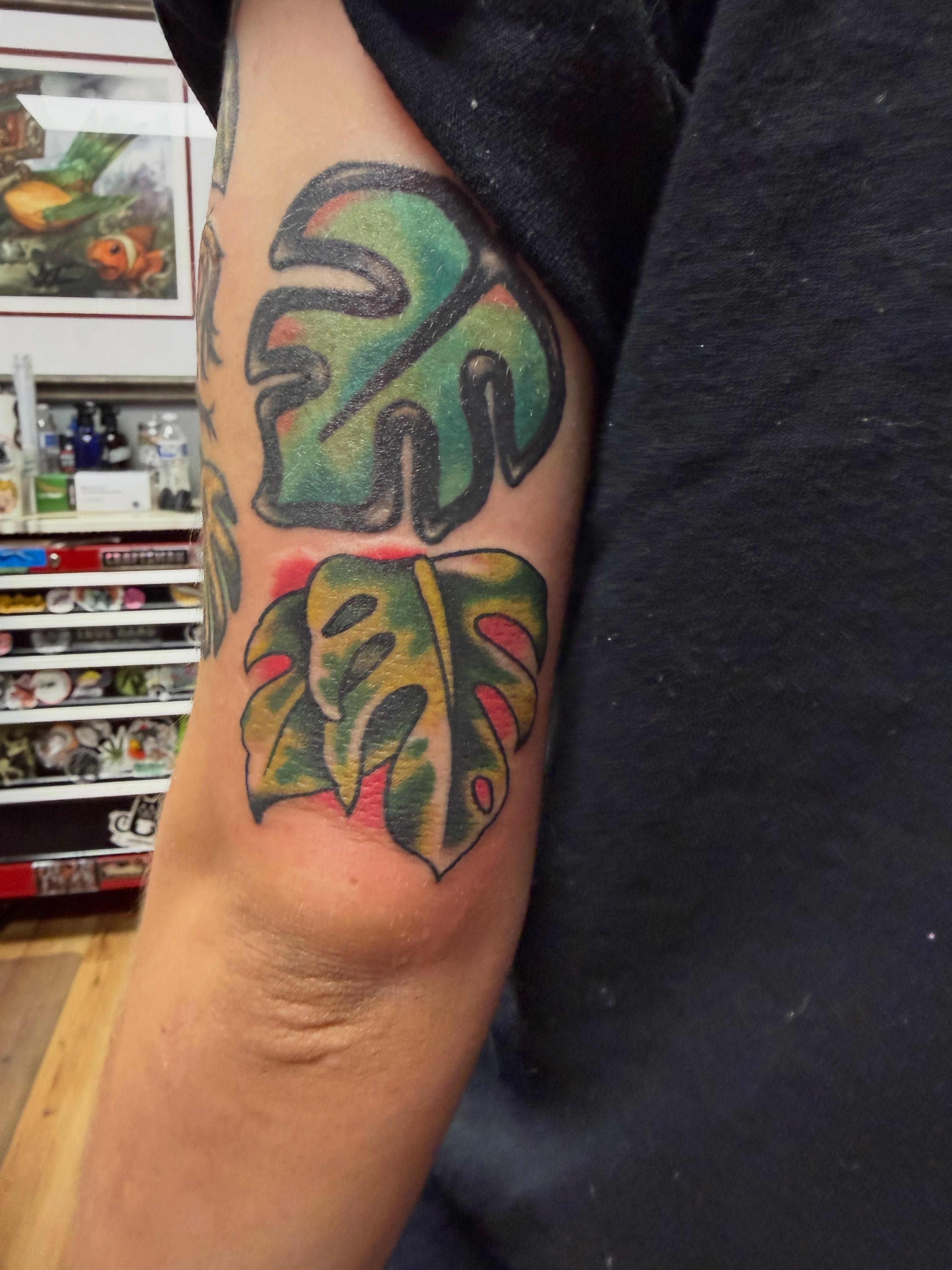 Monstera leaf new school tattoo on the forearm by Mike Lachowicz