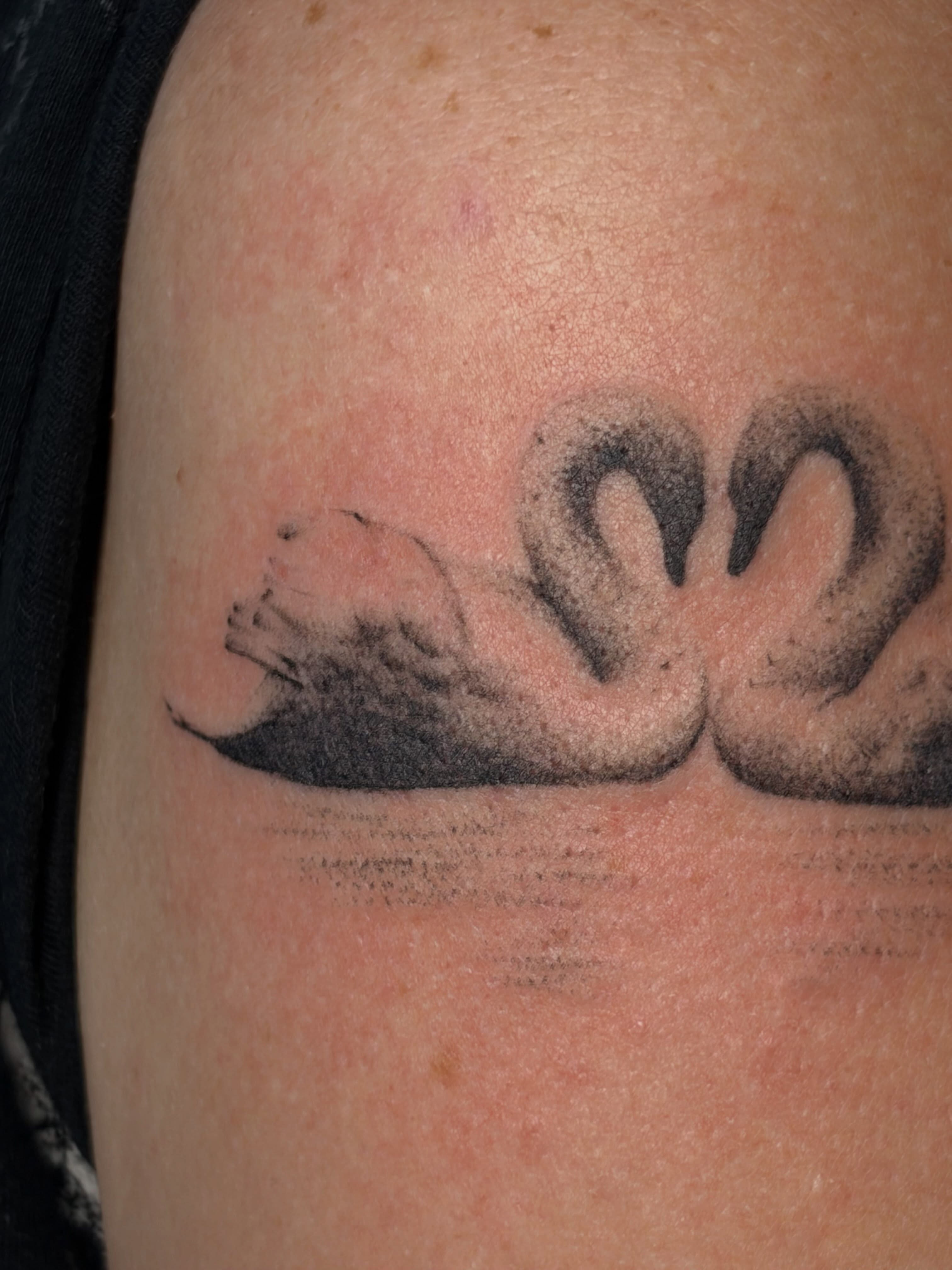 Tattoo by @sexyratpotion — black_and_grey