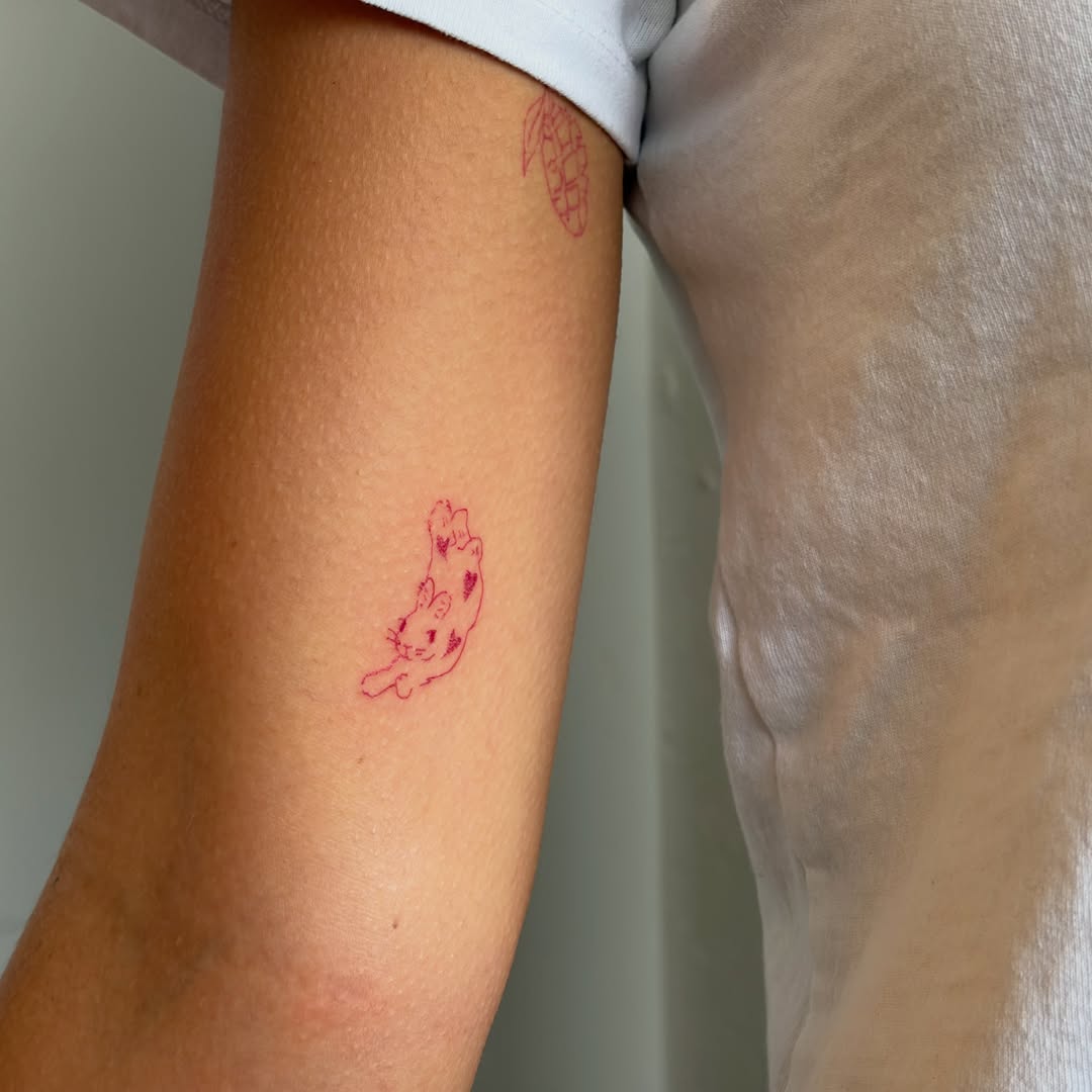 Cat minimalist tattoo on the forearm by annie’s tattoos ⭐꩜ .ᐟ