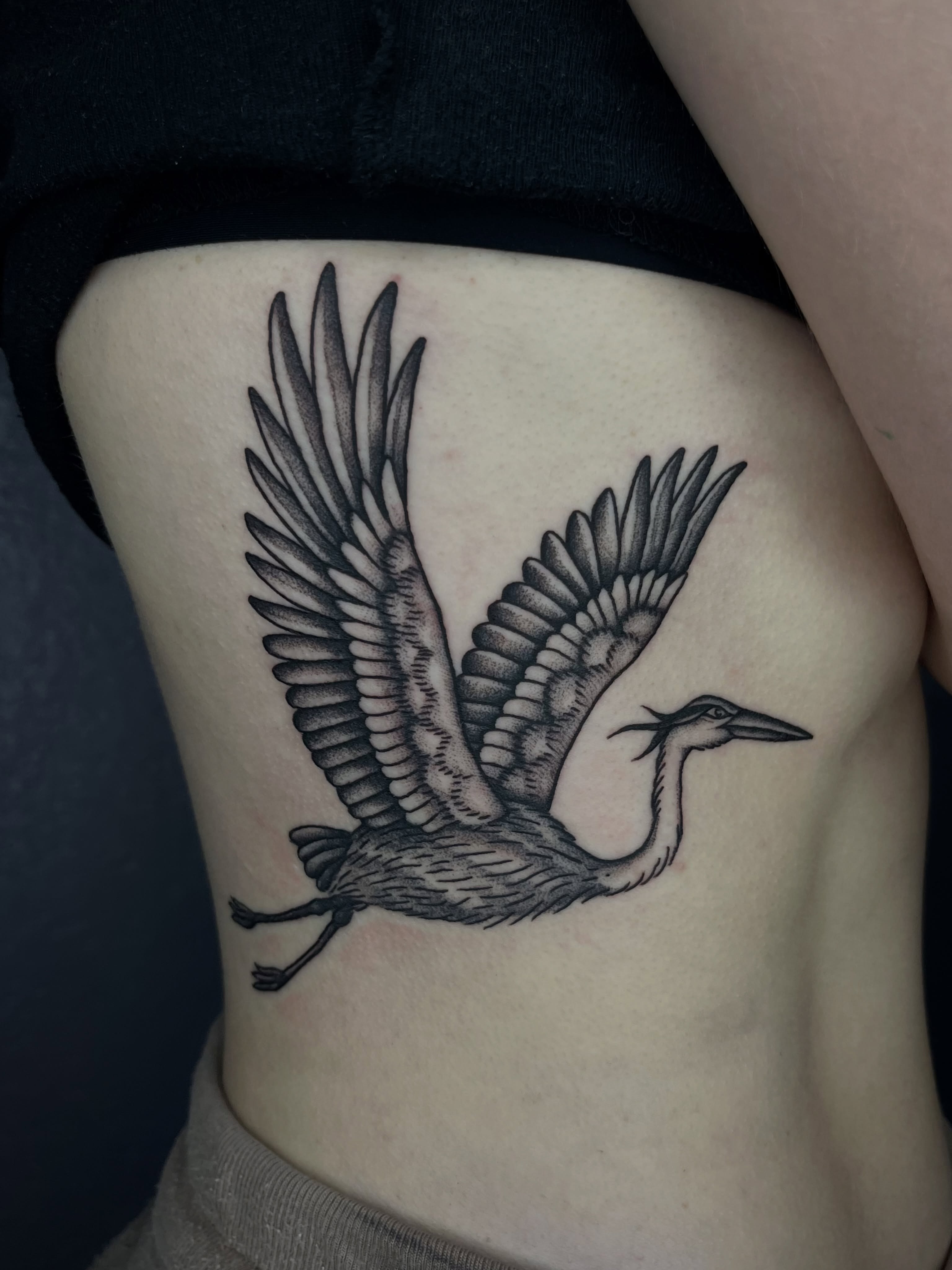 Heron black and grey tattoo on the ribs by Patrick Elijah