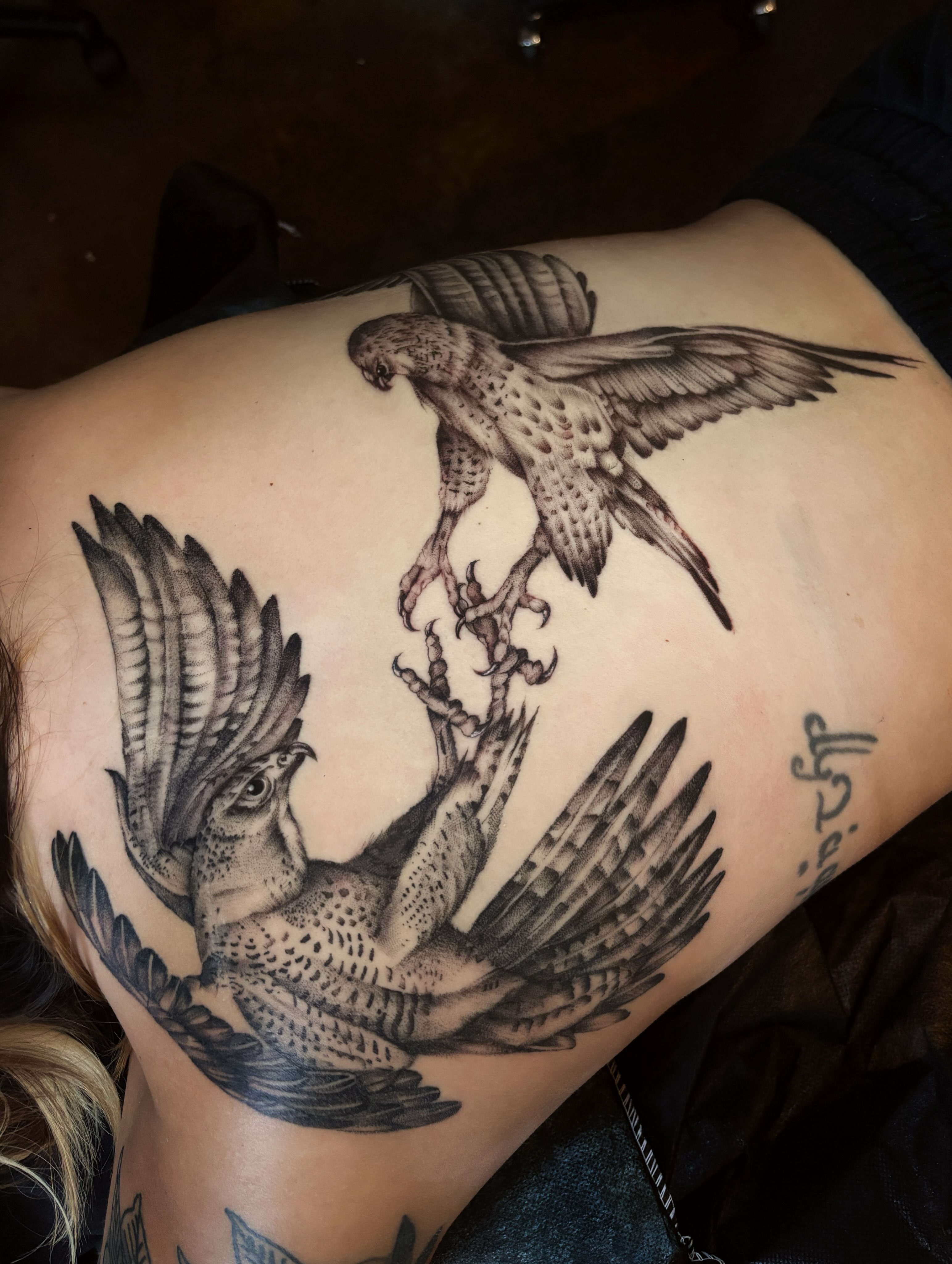Falcons realism tattoo on the back by l i z ✶