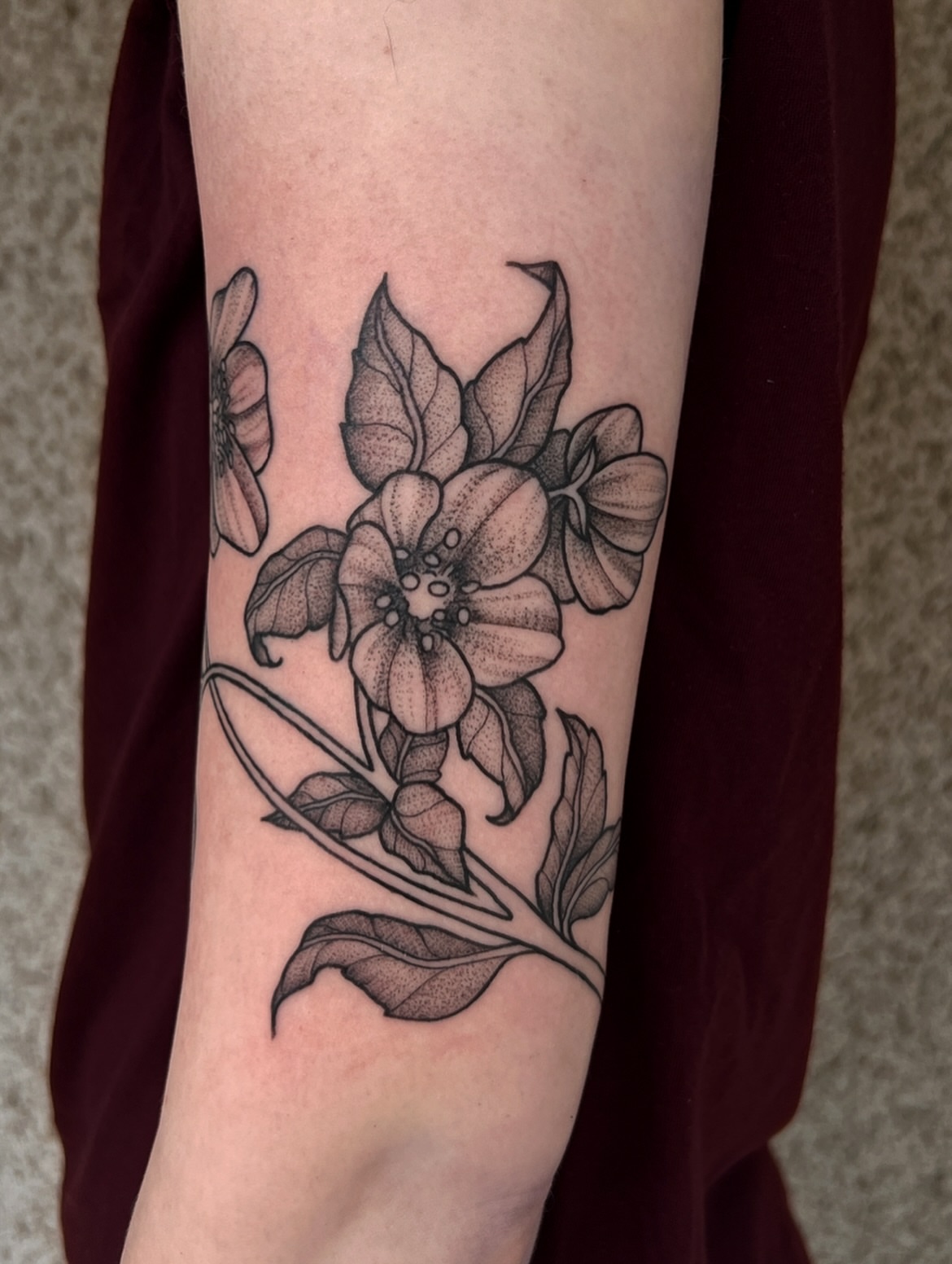 Tattoo by @latebloomertattoosmn — dotwork