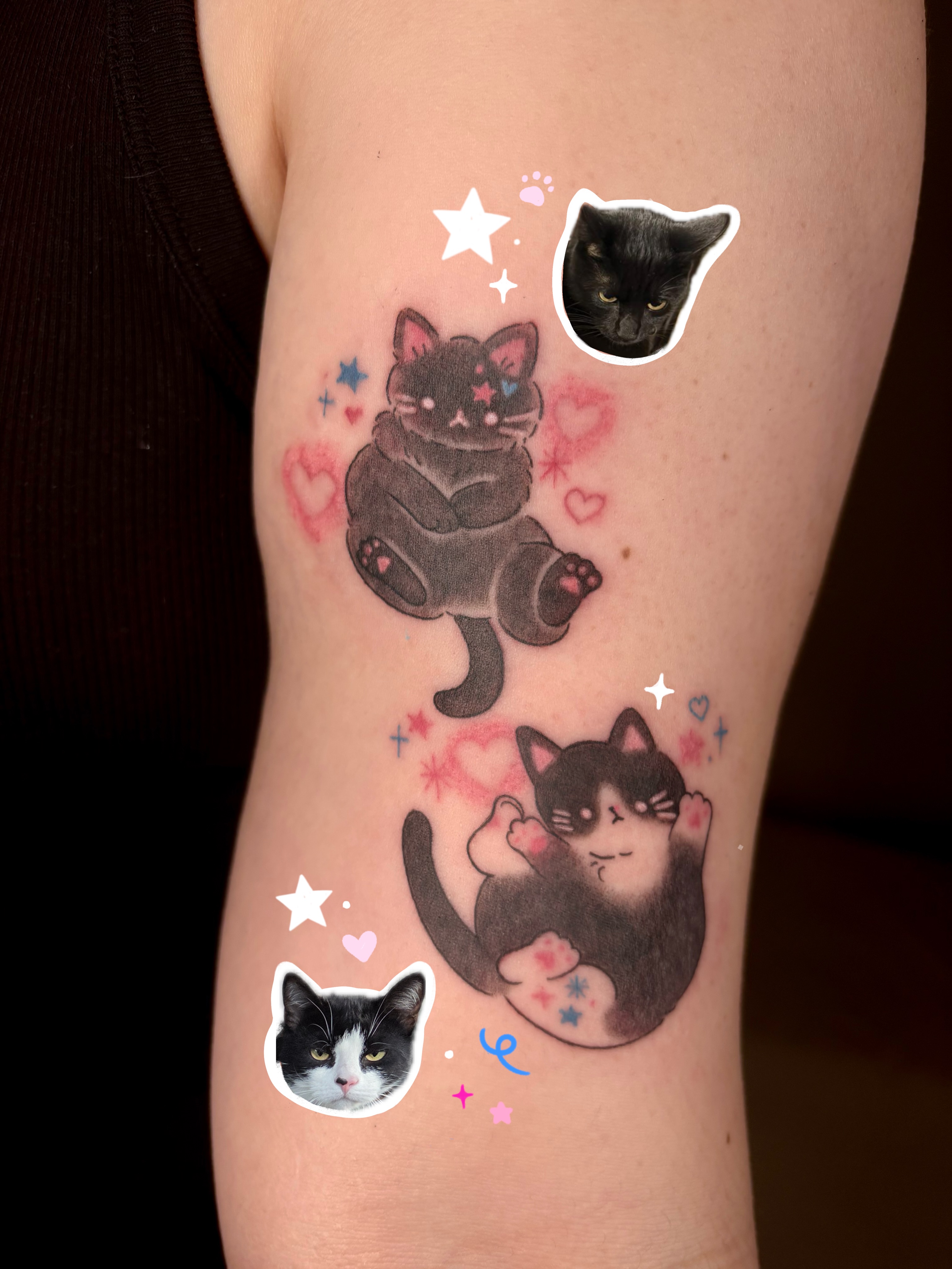 Cat dotwork tattoo on the forearm by ๐ฎ๐ถ๐ ๐ โงโห โโ.