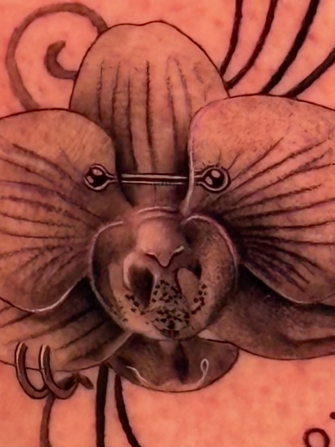 Tattoo by @tattedwithjaz β realism