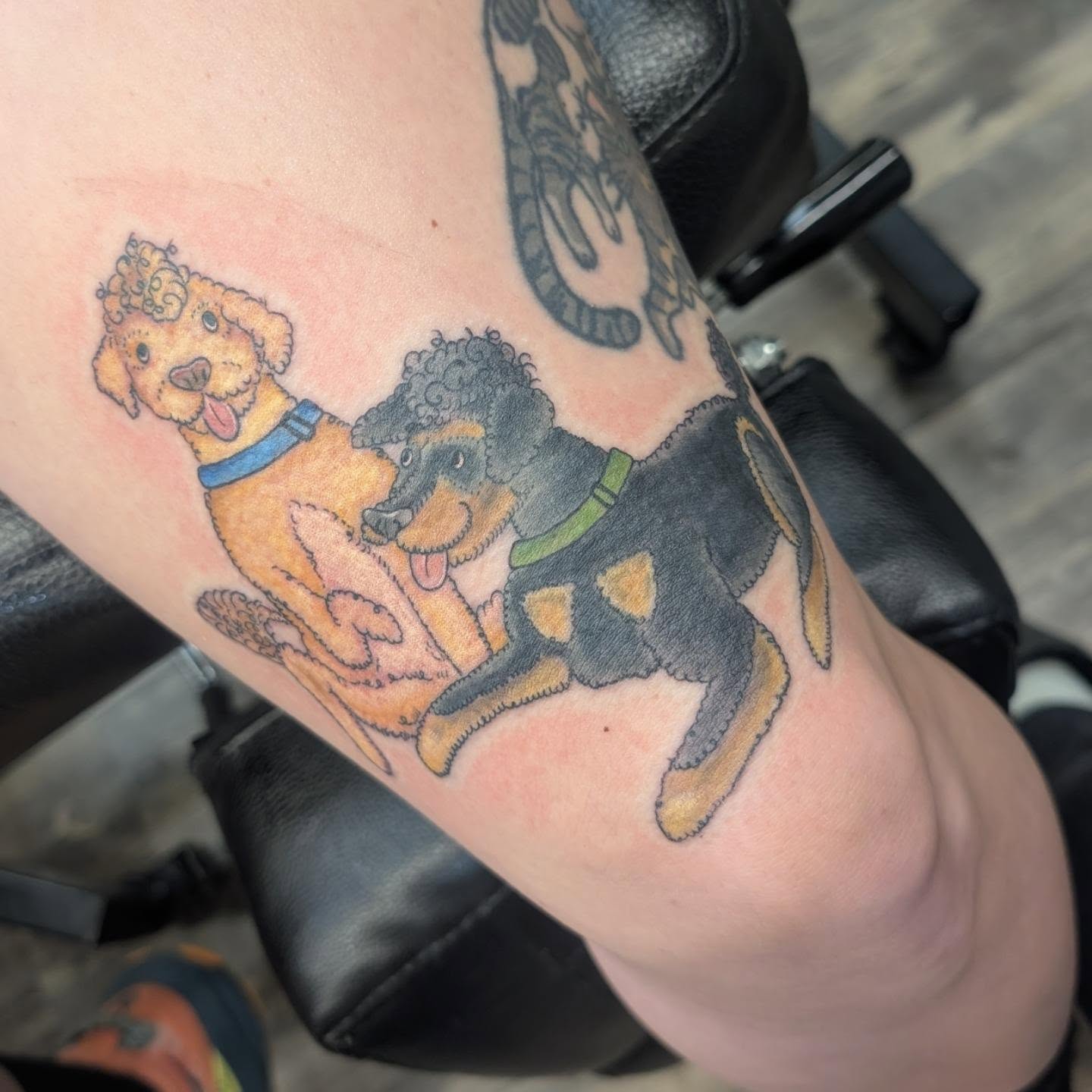 Two dogs realism tattoo on the forearm by Talia Zula, Loveland, Ohio
