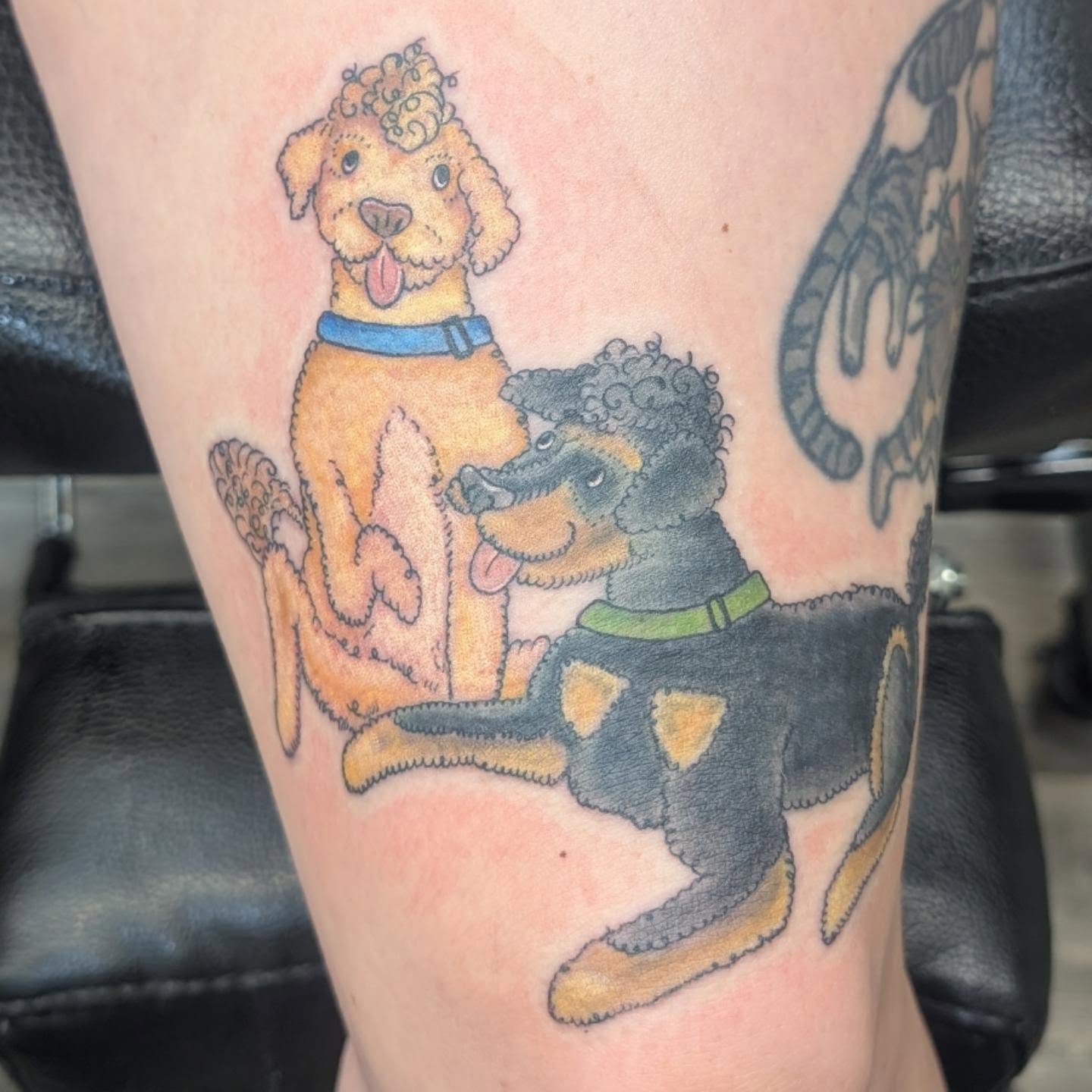 Two poodles American traditional tattoo on the forearm by Talia Zula, Loveland, Ohio