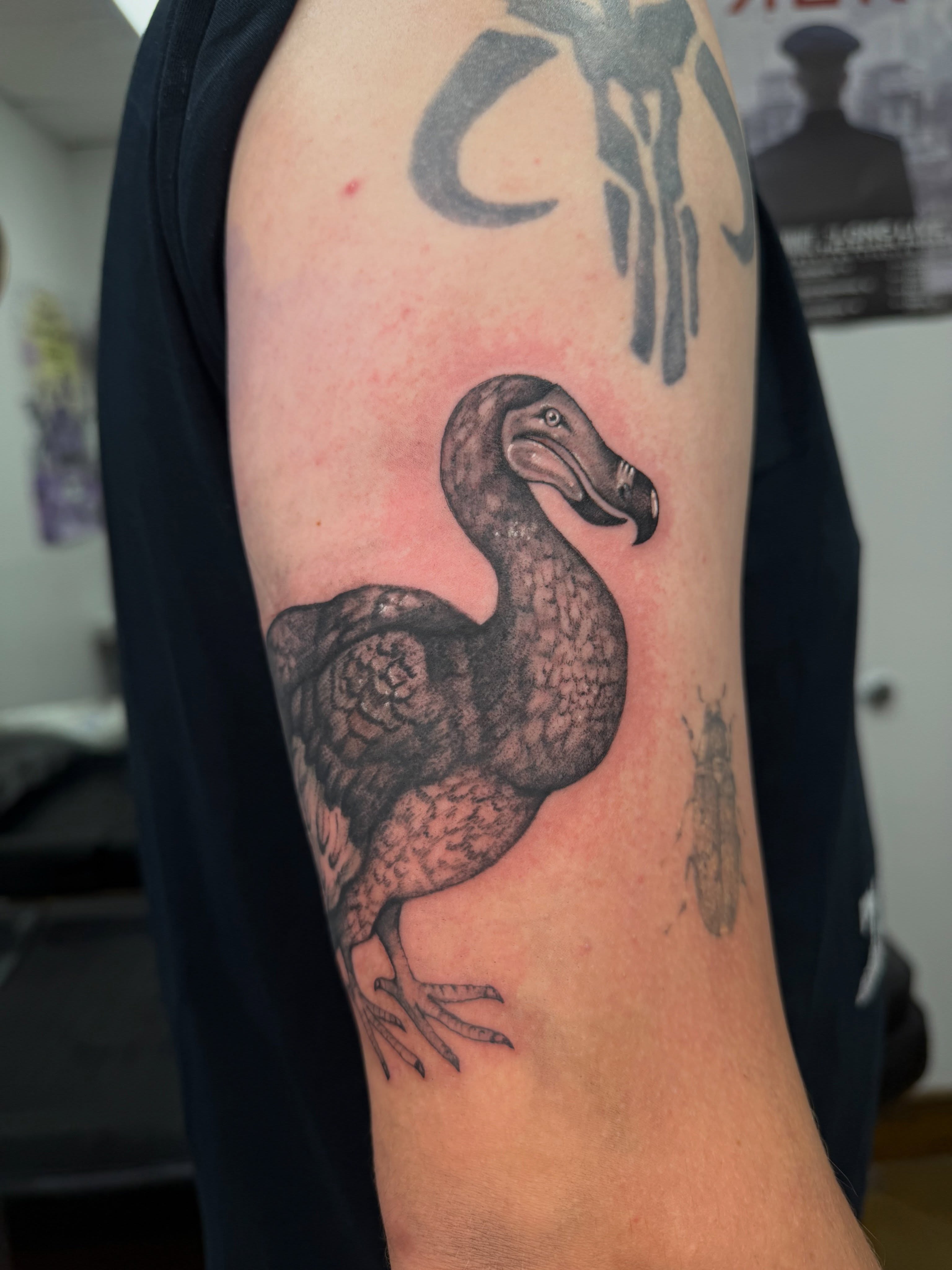 Dodo bird black and grey tattoo on the forearm by Halle Cooper