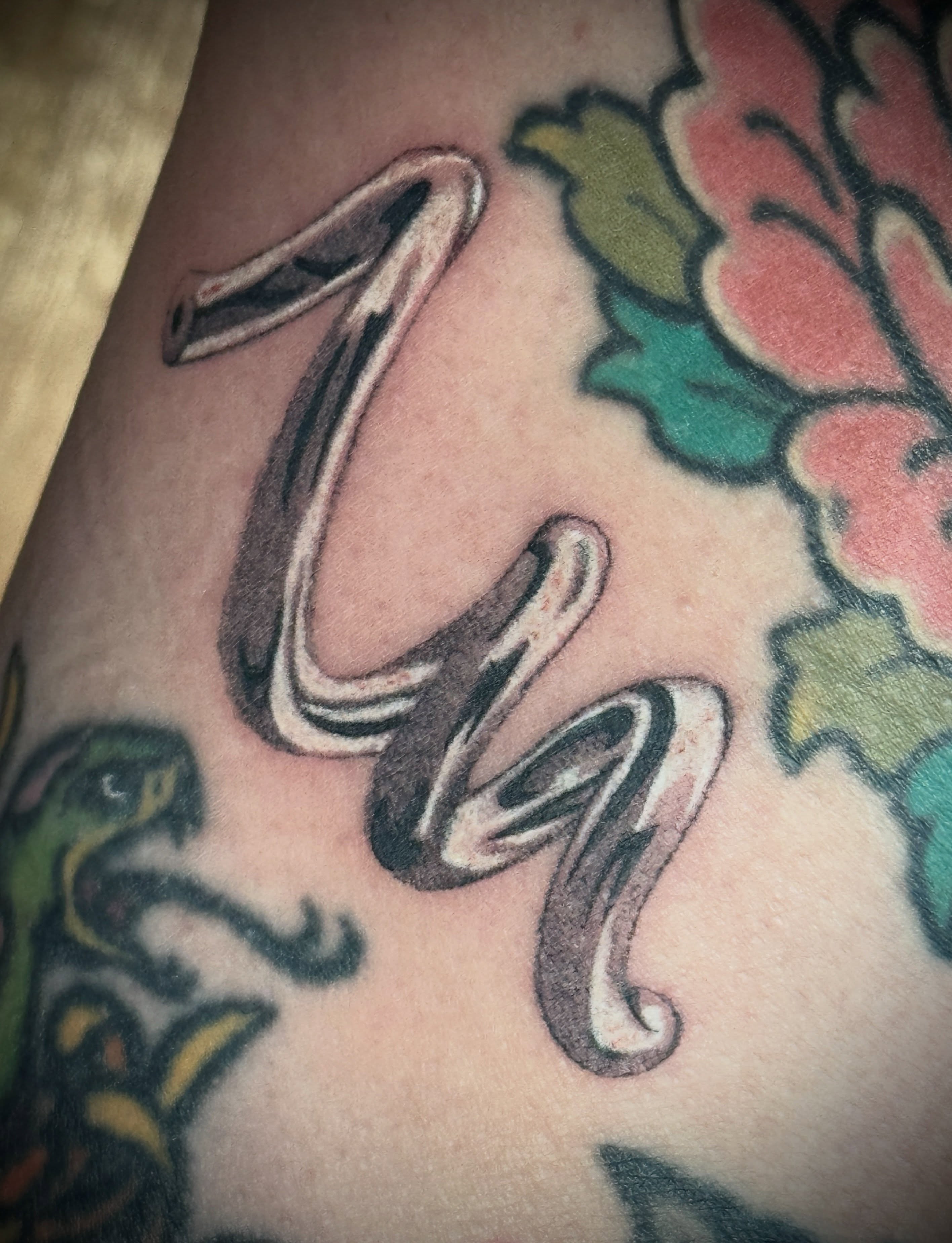 Snake American traditional tattoo on the forearm by Bronzino Ink - Karen, Asheville, North Carolina