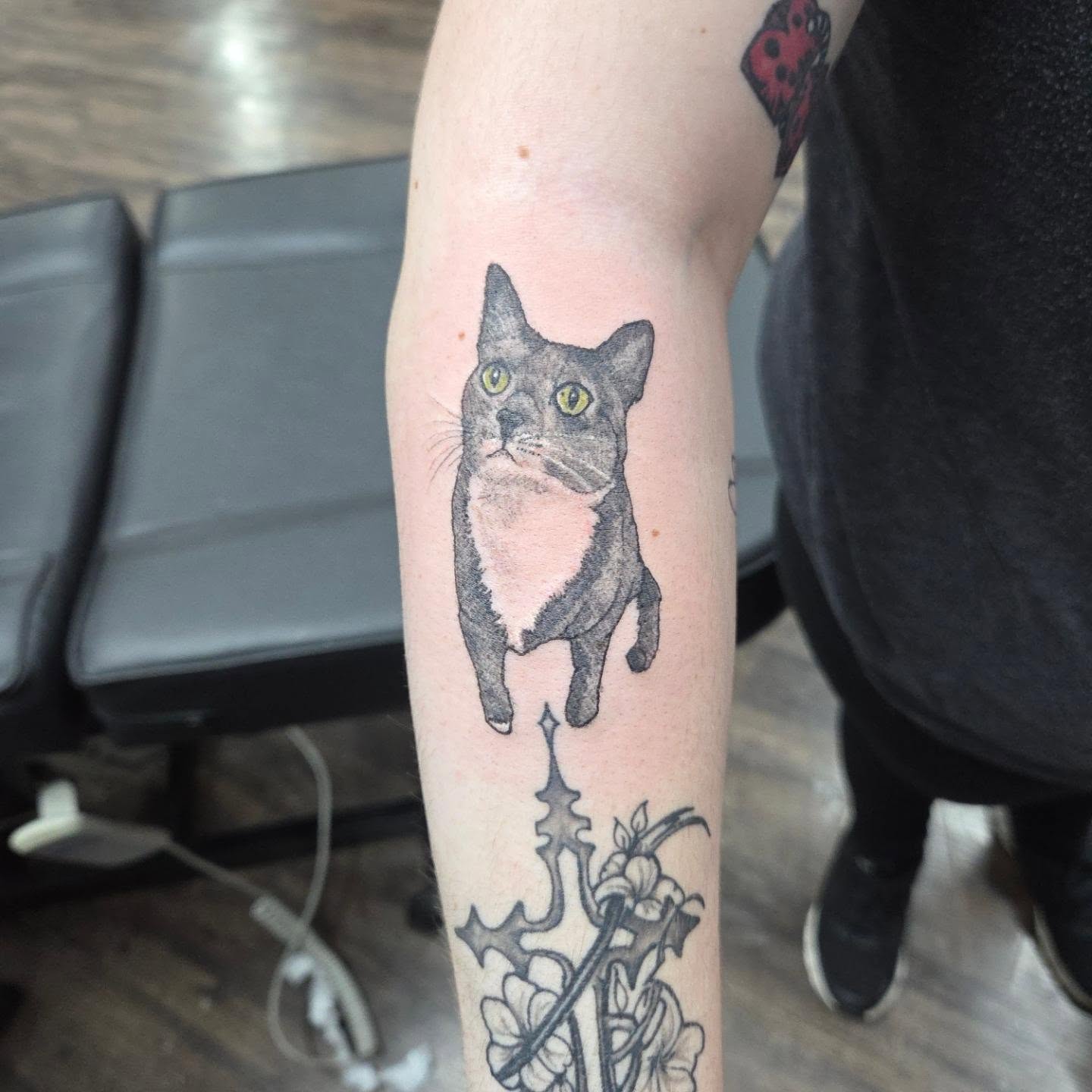 Cat realism tattoo on the forearm by Matthew Todd Kremer