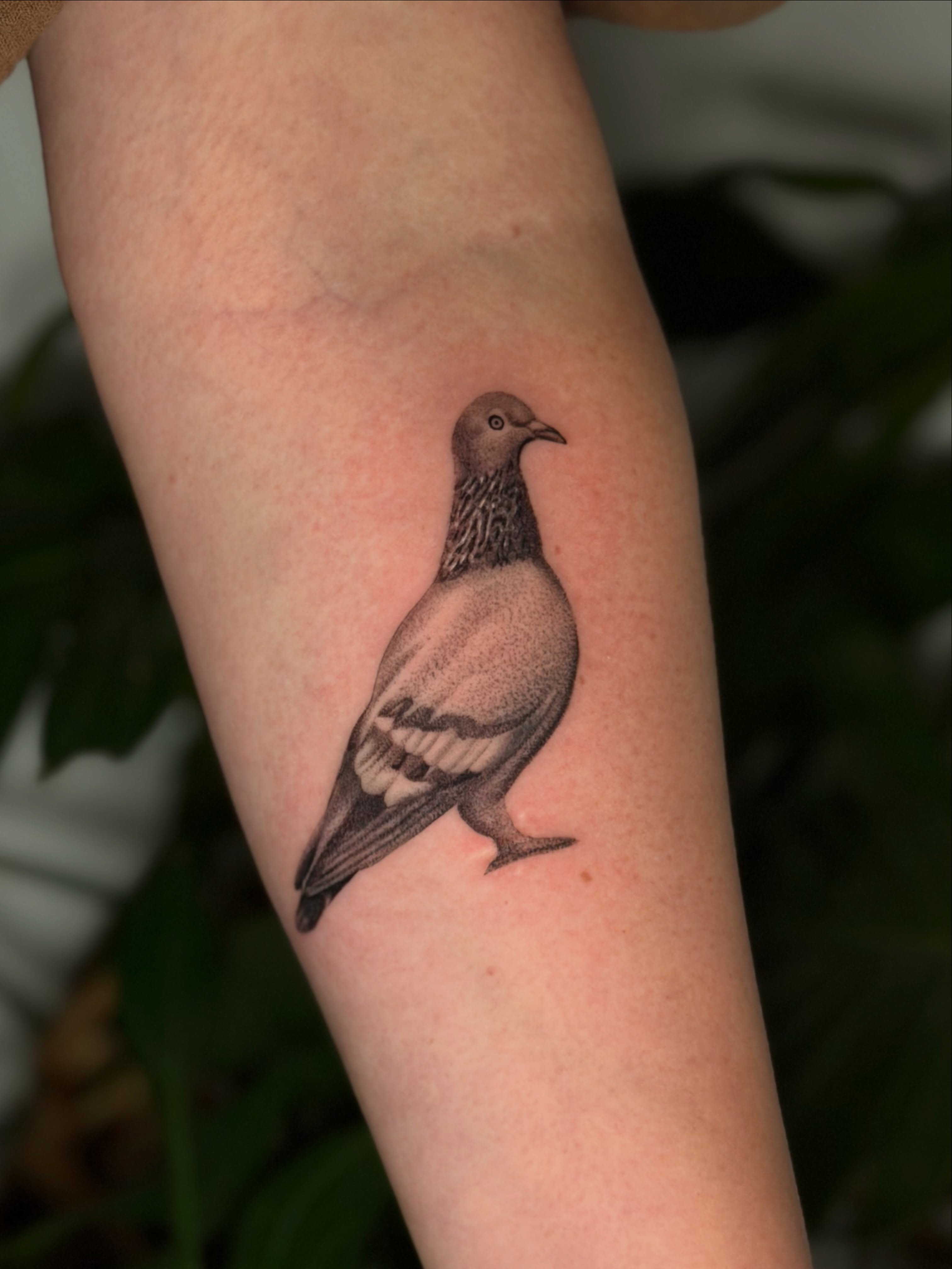 Tattoo by @tattoosbyps — realism