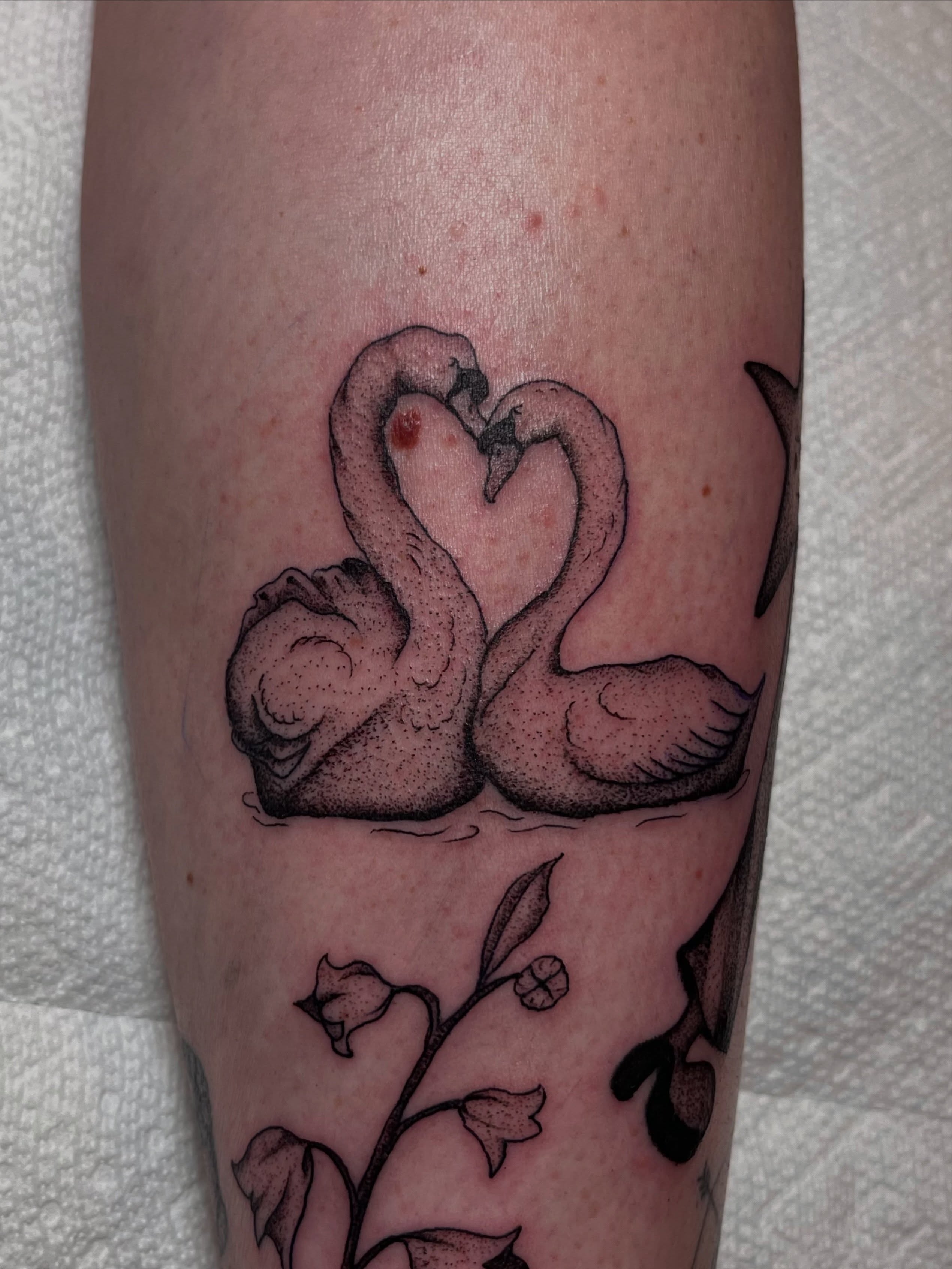 Swans black and grey tattoo on the forearm by Jackson Kirchhoff