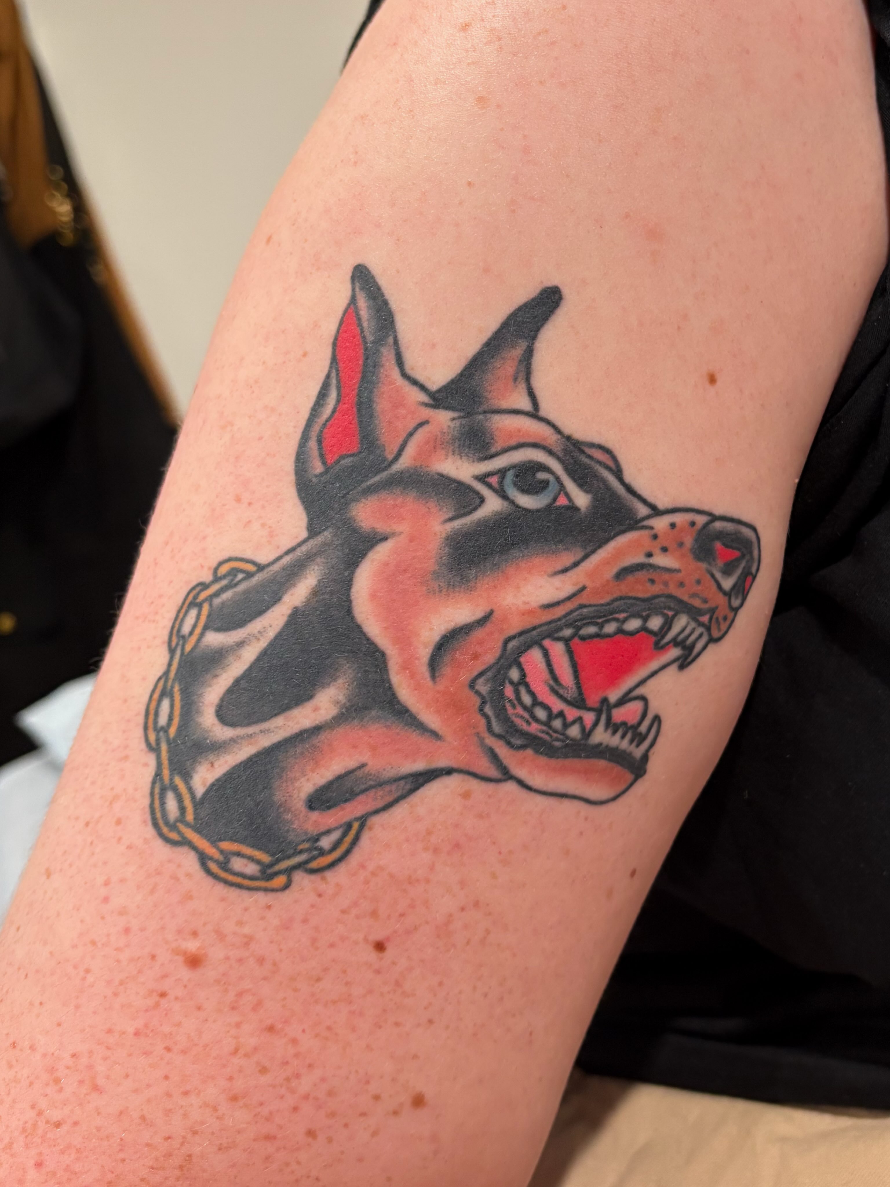 Doberman American traditional tattoo on the forearm by Evan Bisso, Philadelphia, Pennsylvania