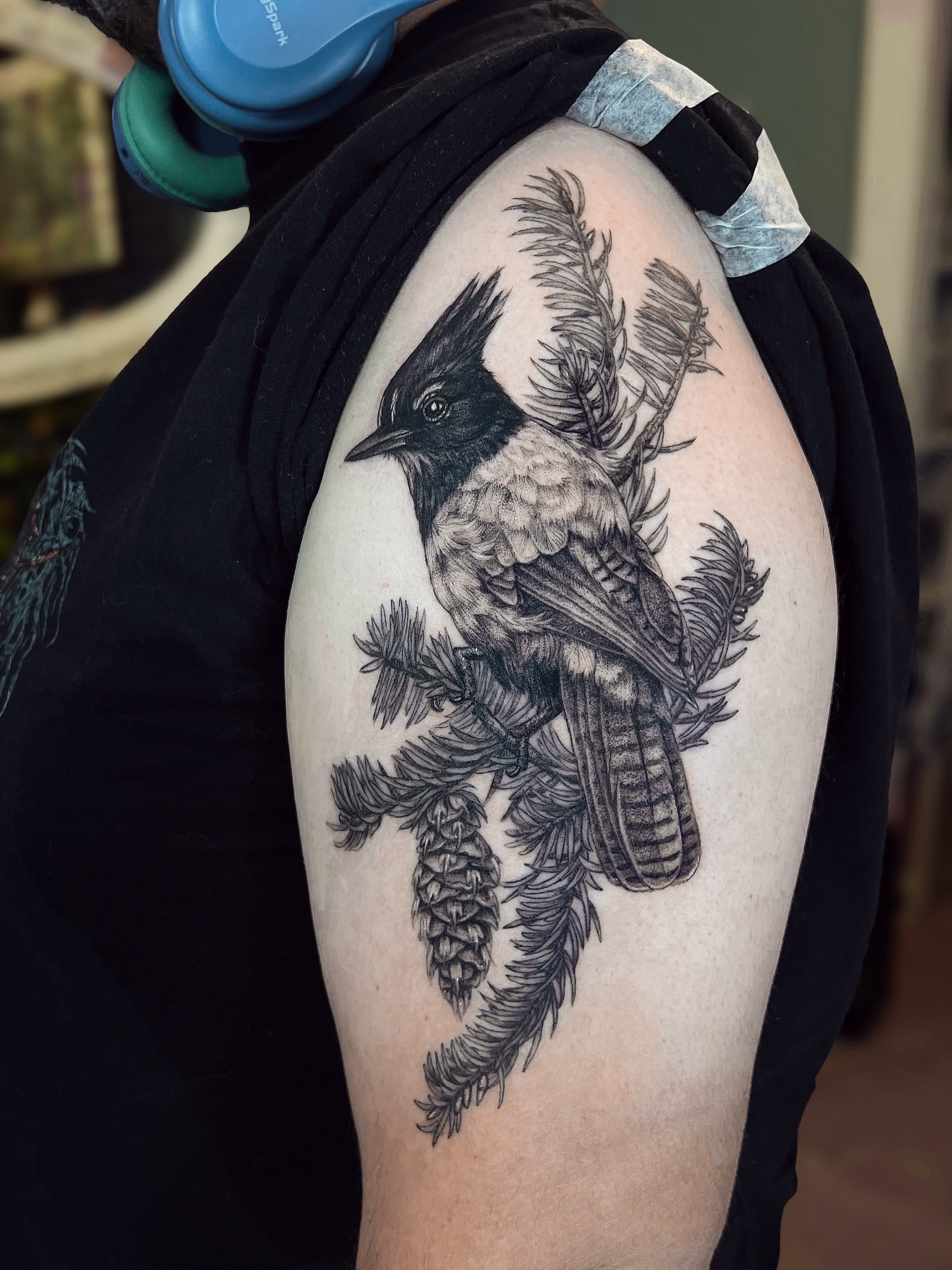 Bird realism tattoo on the shoulder by 𝗝𝗲𝘀𝘀𝗶𝗲 𝗩𝗶𝗼𝗹𝗲𝘁