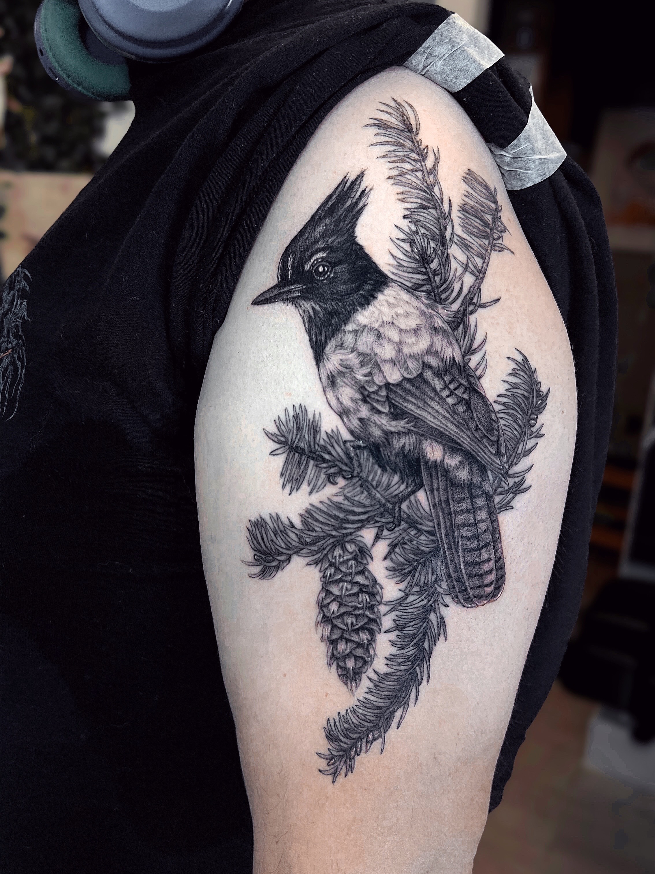 Bird realism tattoo on the shoulder by 𝗝𝗲𝘀𝘀𝗶𝗲 𝗩𝗶𝗼𝗹𝗲𝘁
