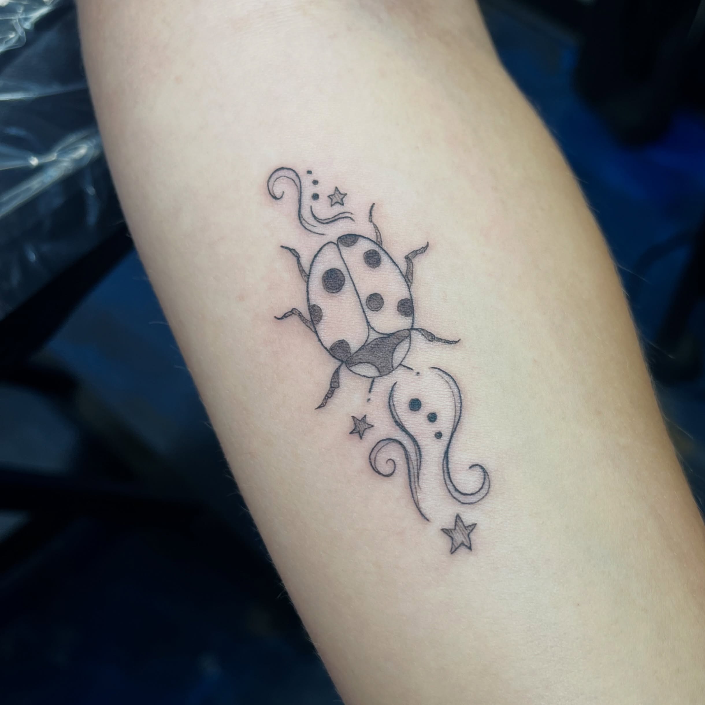 Ladybug dotwork tattoo on the forearm by Sid