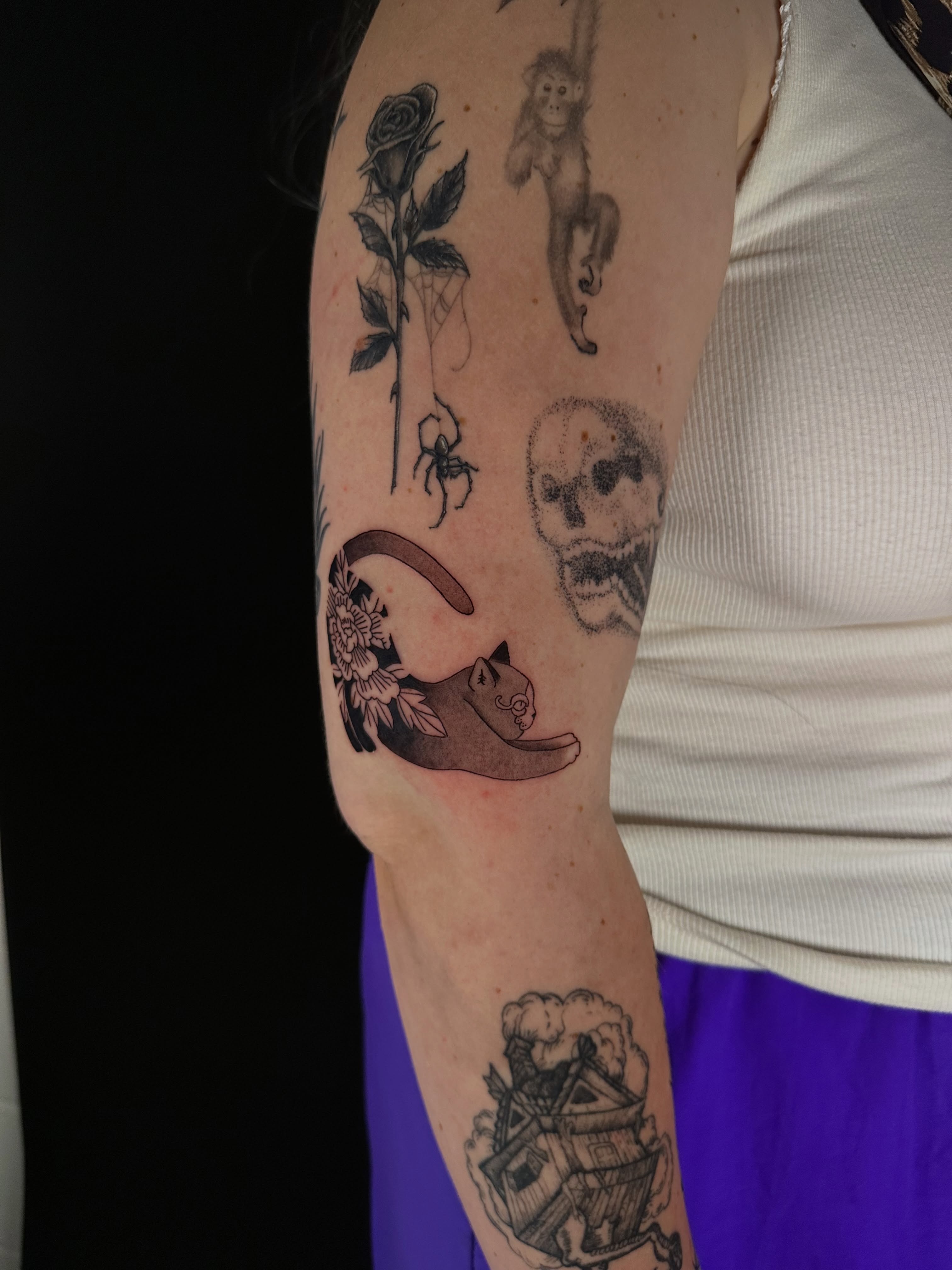 Cat and crescent moon dotwork tattoo on the forearm by Cherry Tats🍒
