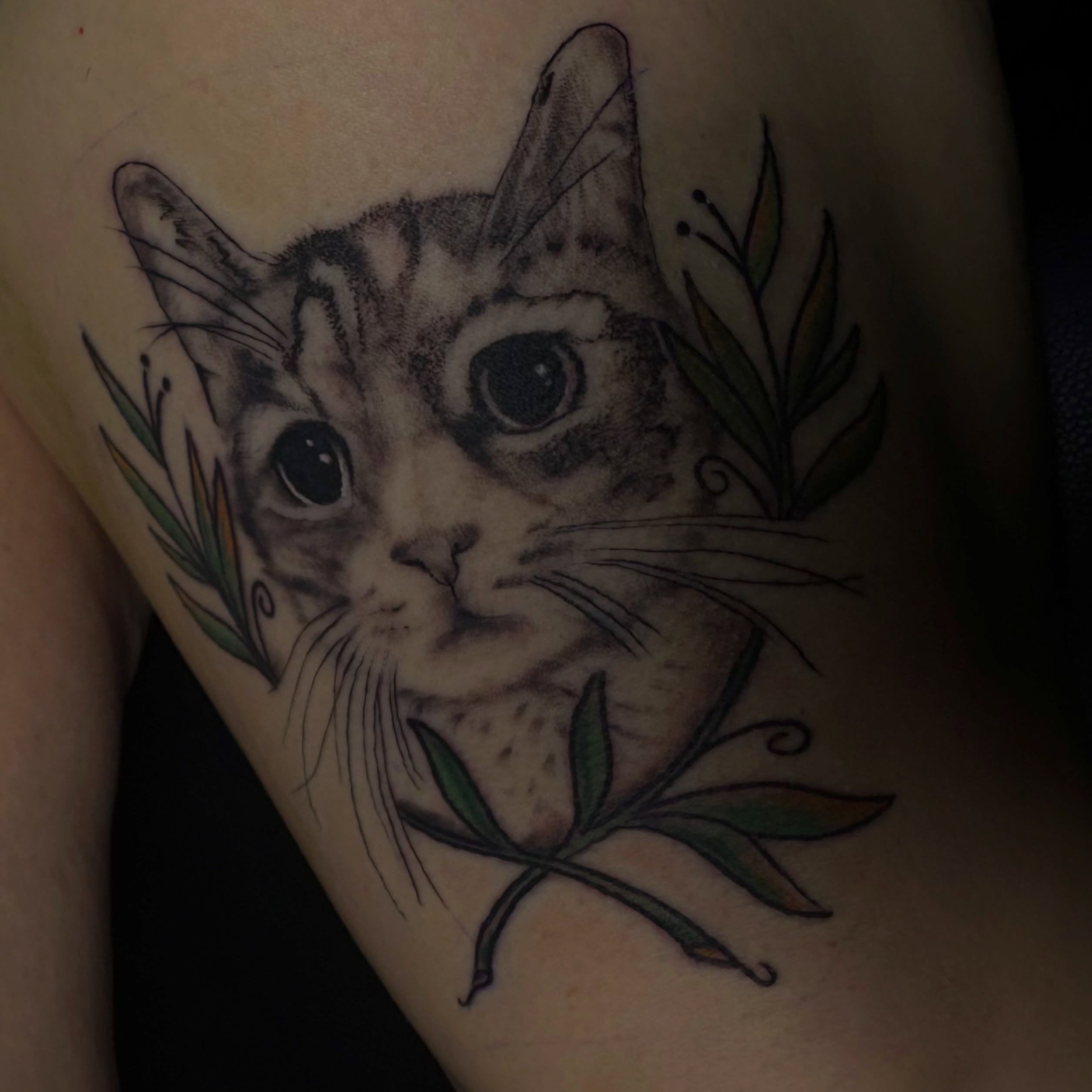 Cat realism tattoo on the shoulder by 𓂃˚‧ 𓆸𝔏𝔦𝔫𝔷 ℭ𝔥𝔞𝔡𝔴𝔦𝔠𝔨 ੈ𑁍