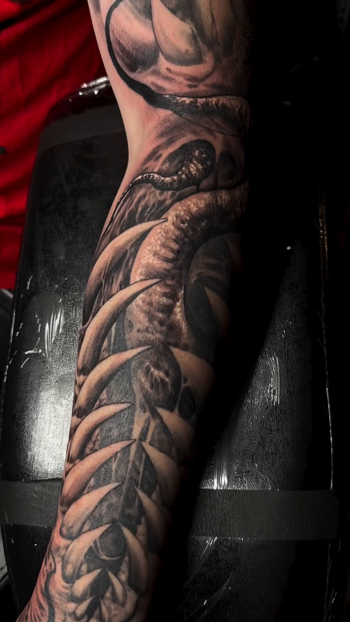 Ribcage and snake dark realism tattoo by Jason Oz, Denver, Colorado