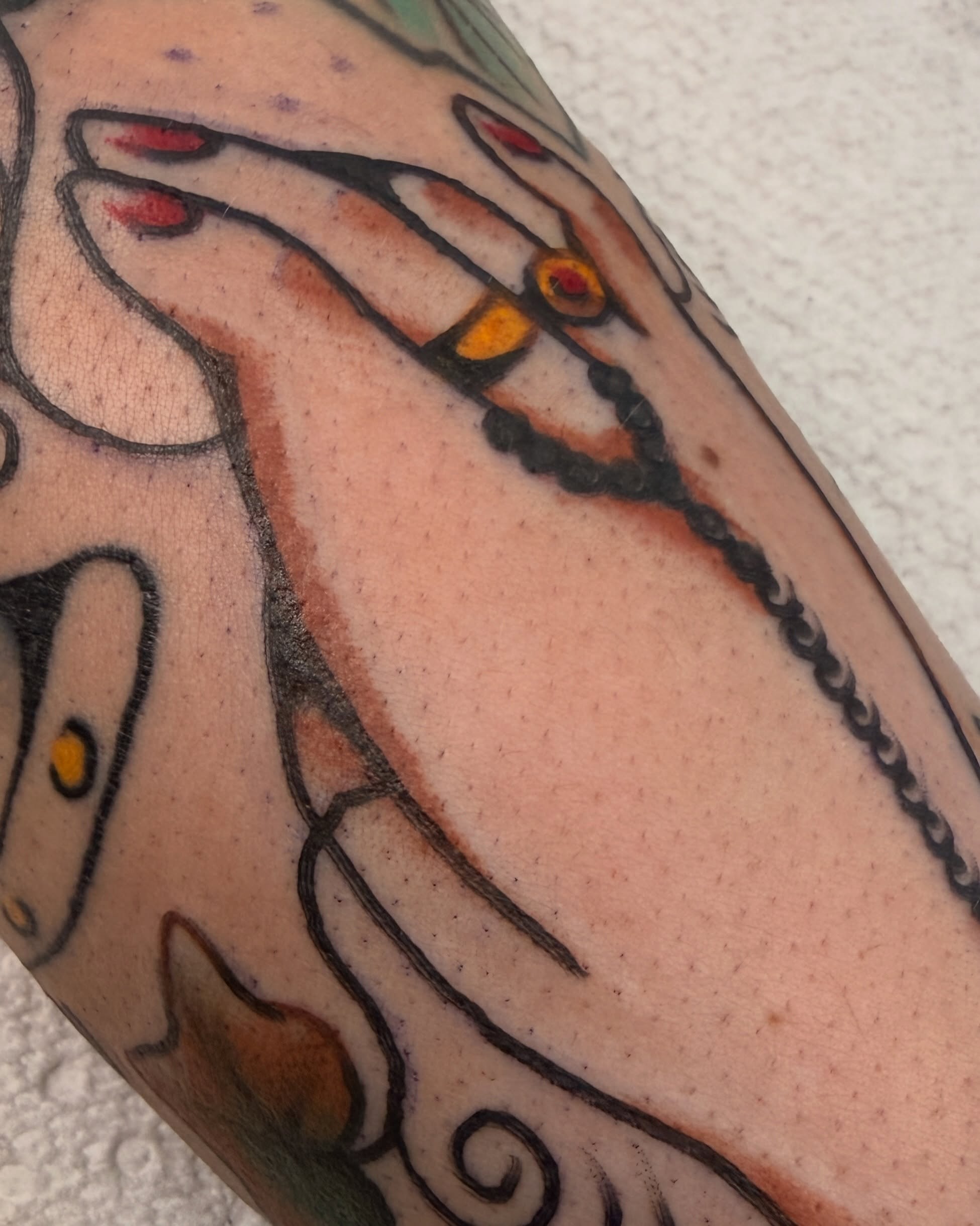 Tattoo by @radrattyripper β american_traditional